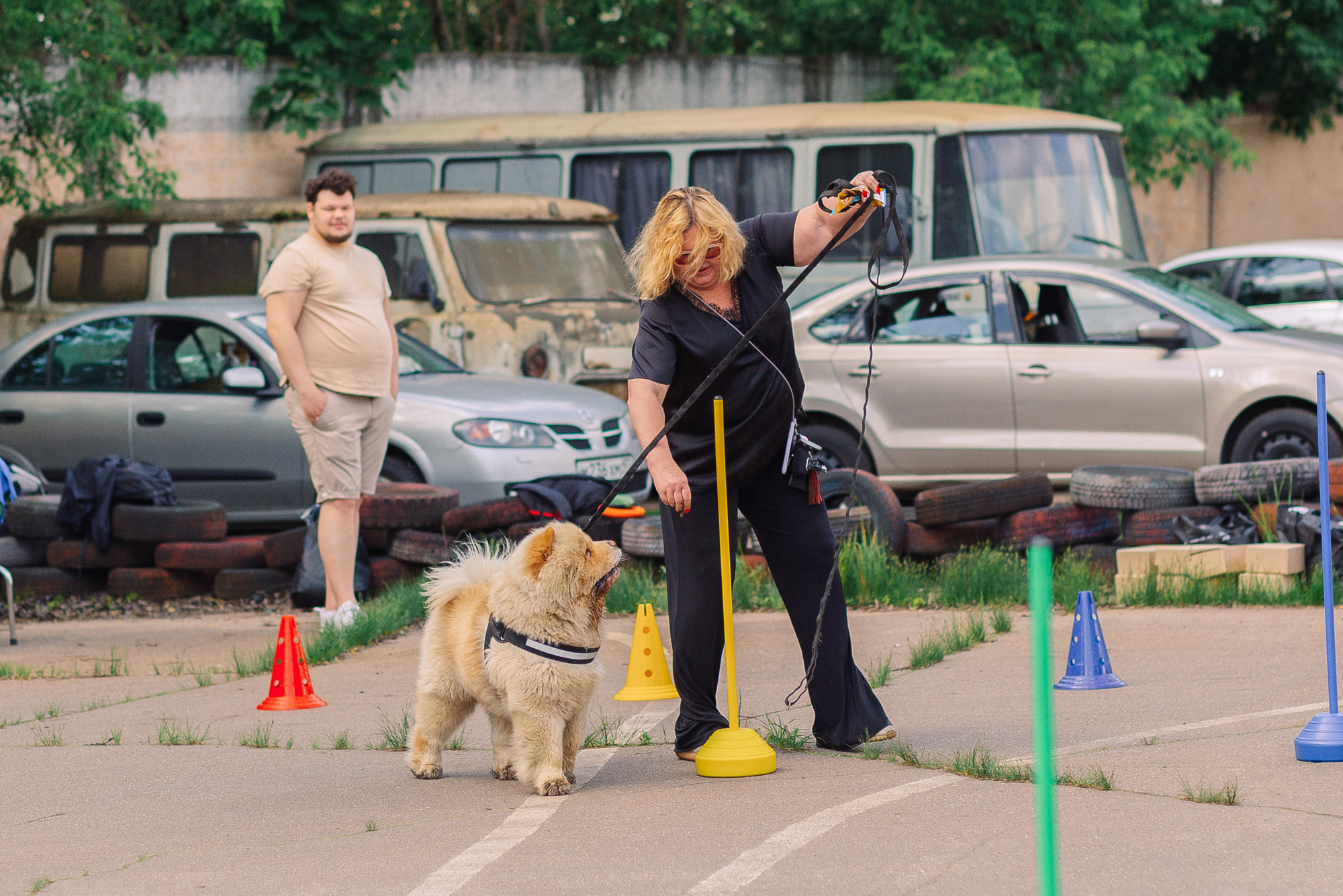 Дог-туса. Фотограф-анималист Елена Радченко, Москва
