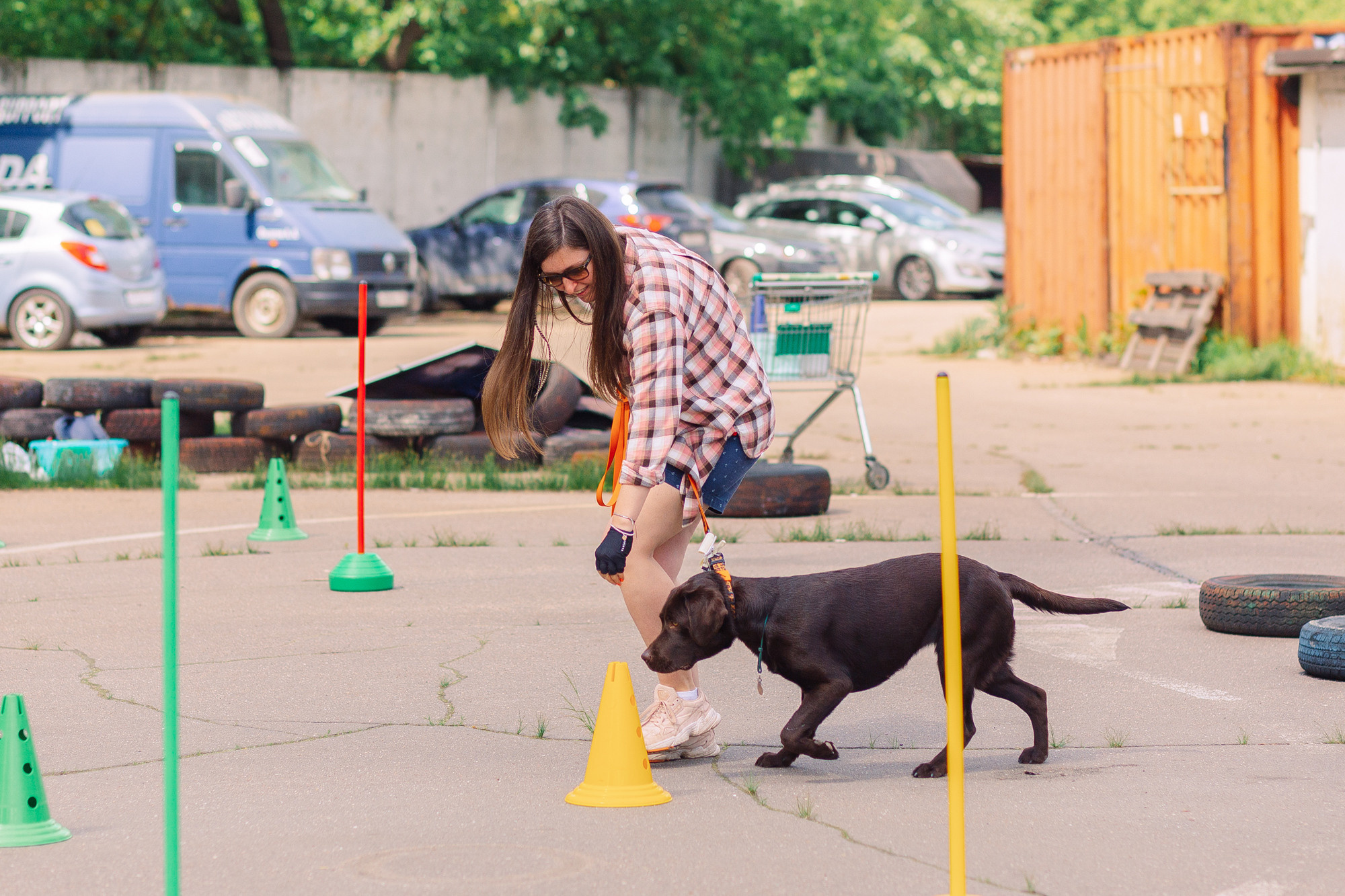 Дог-туса. Фотограф-анималист Елена Радченко, Москва