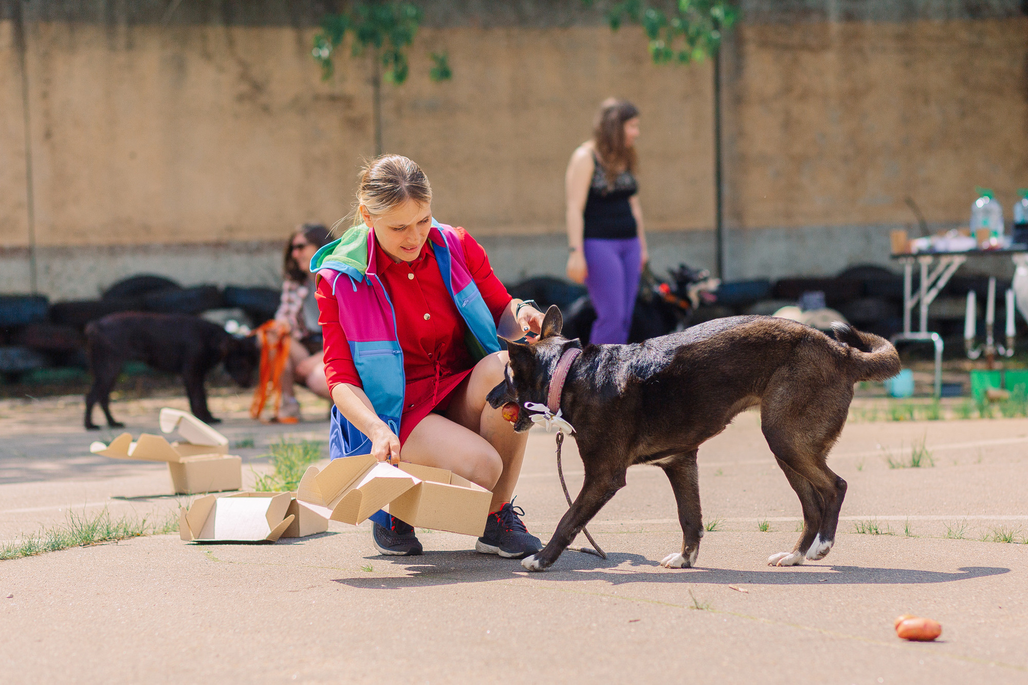 Дог-туса. Фотограф-анималист Елена Радченко, Москва