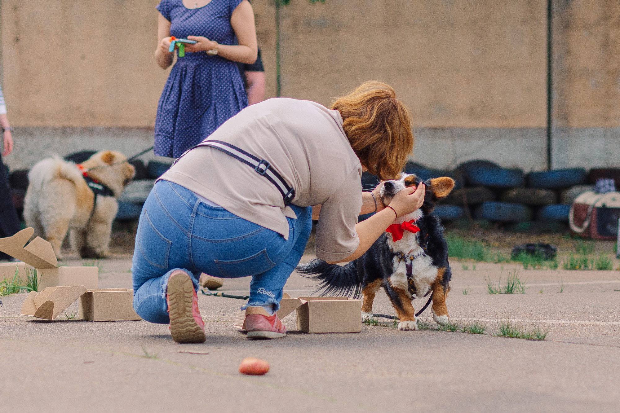 Дог-туса. Фотограф-анималист Елена Радченко, Москва