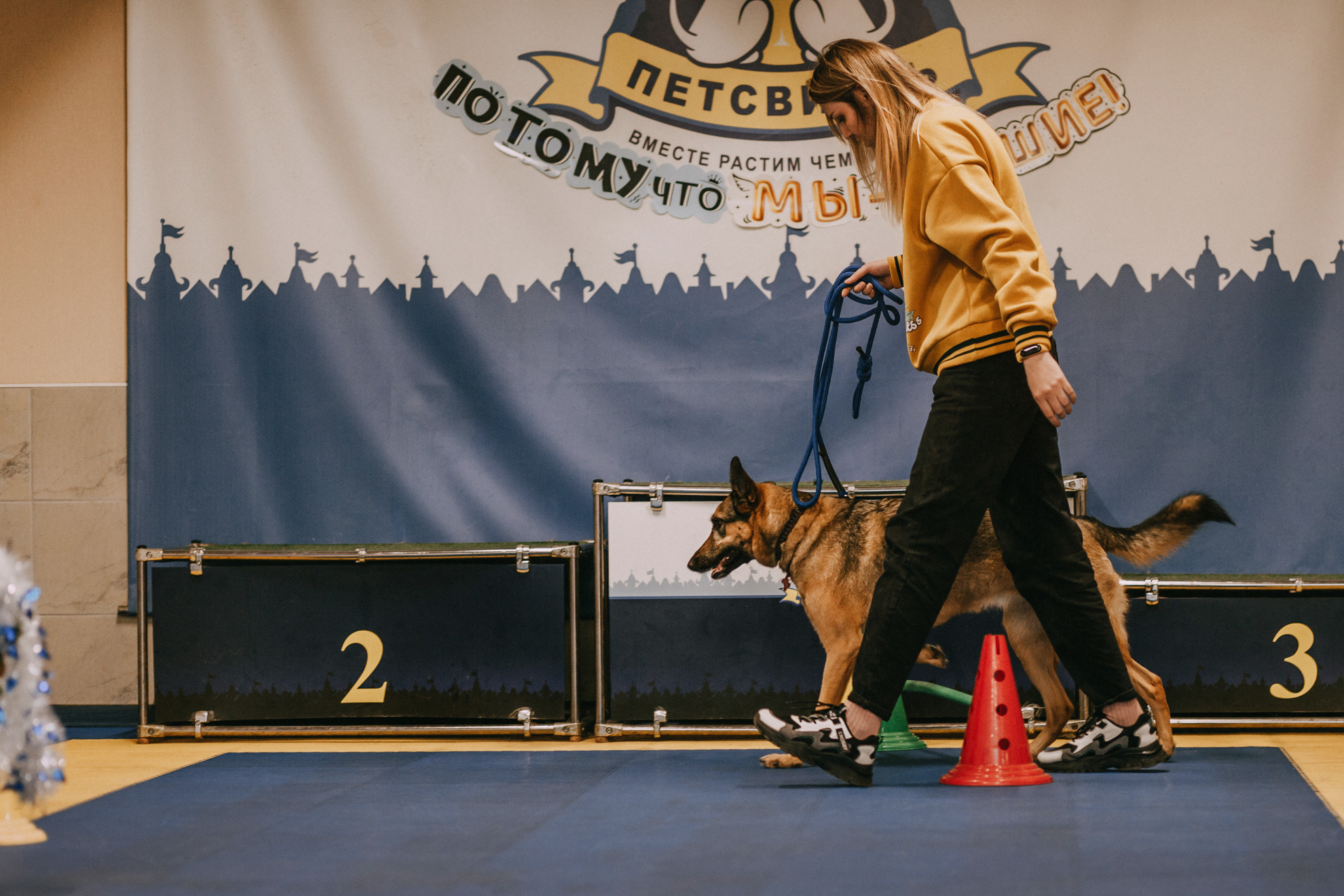 Собачий Новый год. Фотограф-анималист Елена Радченко, Москва