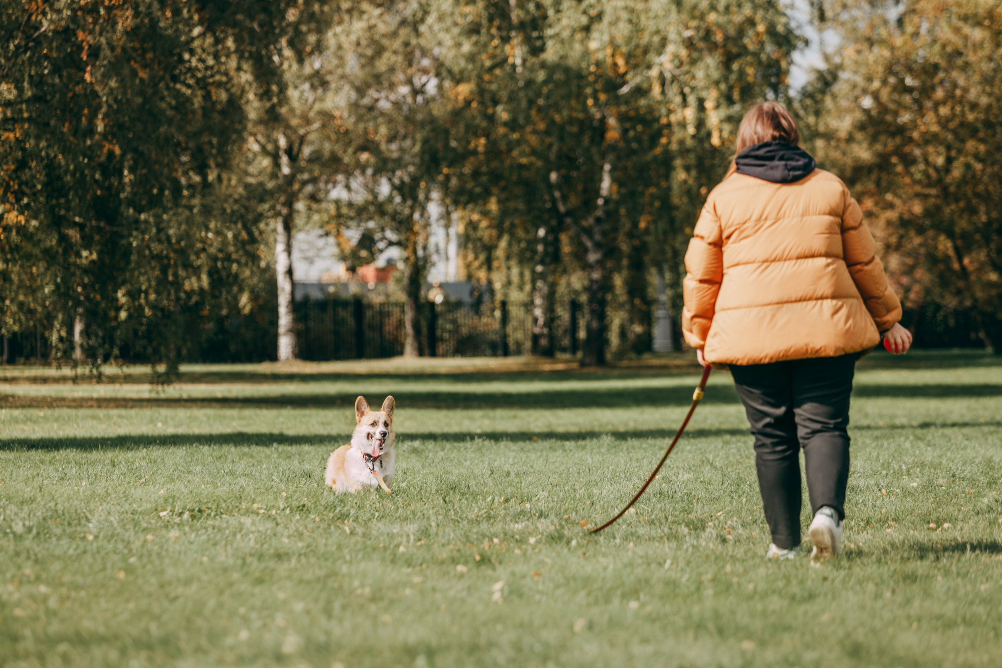 День рождения Габи. Фотограф-анималист Елена Радченко, Москва