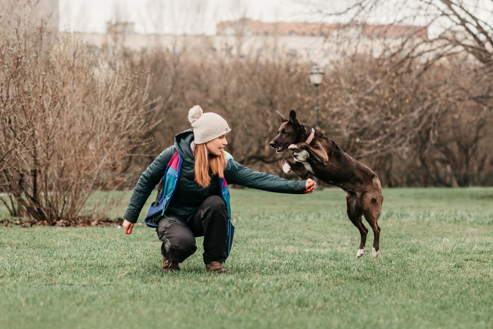 Ира, Бэлла и Альма. Фотограф-анималист Елена Радченко, Москва