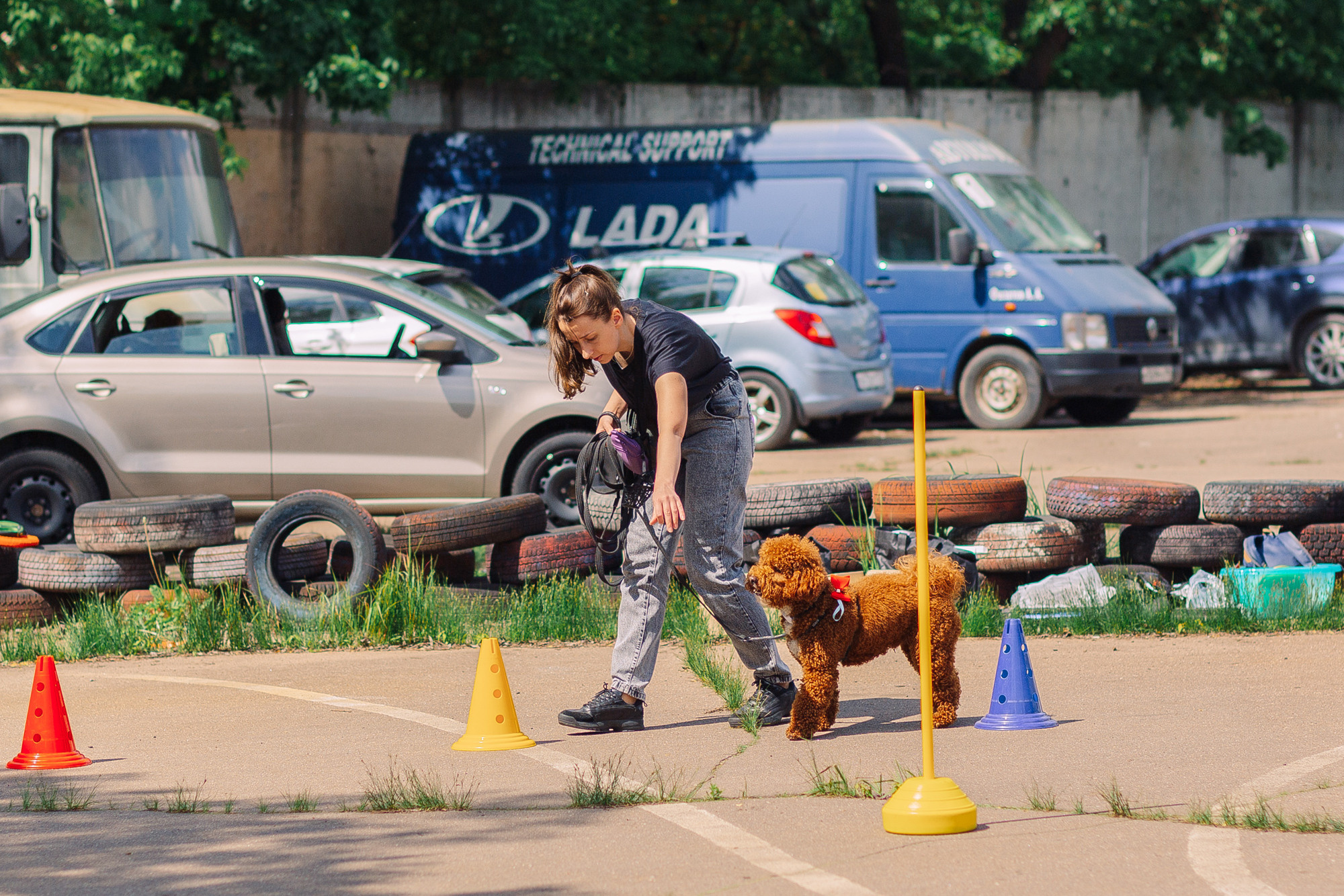 Дог-туса. Фотограф-анималист Елена Радченко, Москва