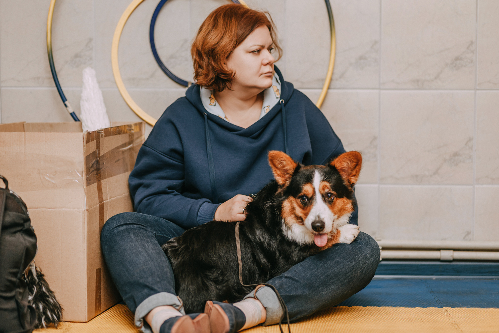 Собачий Новый год. Фотограф-анималист Елена Радченко, Москва