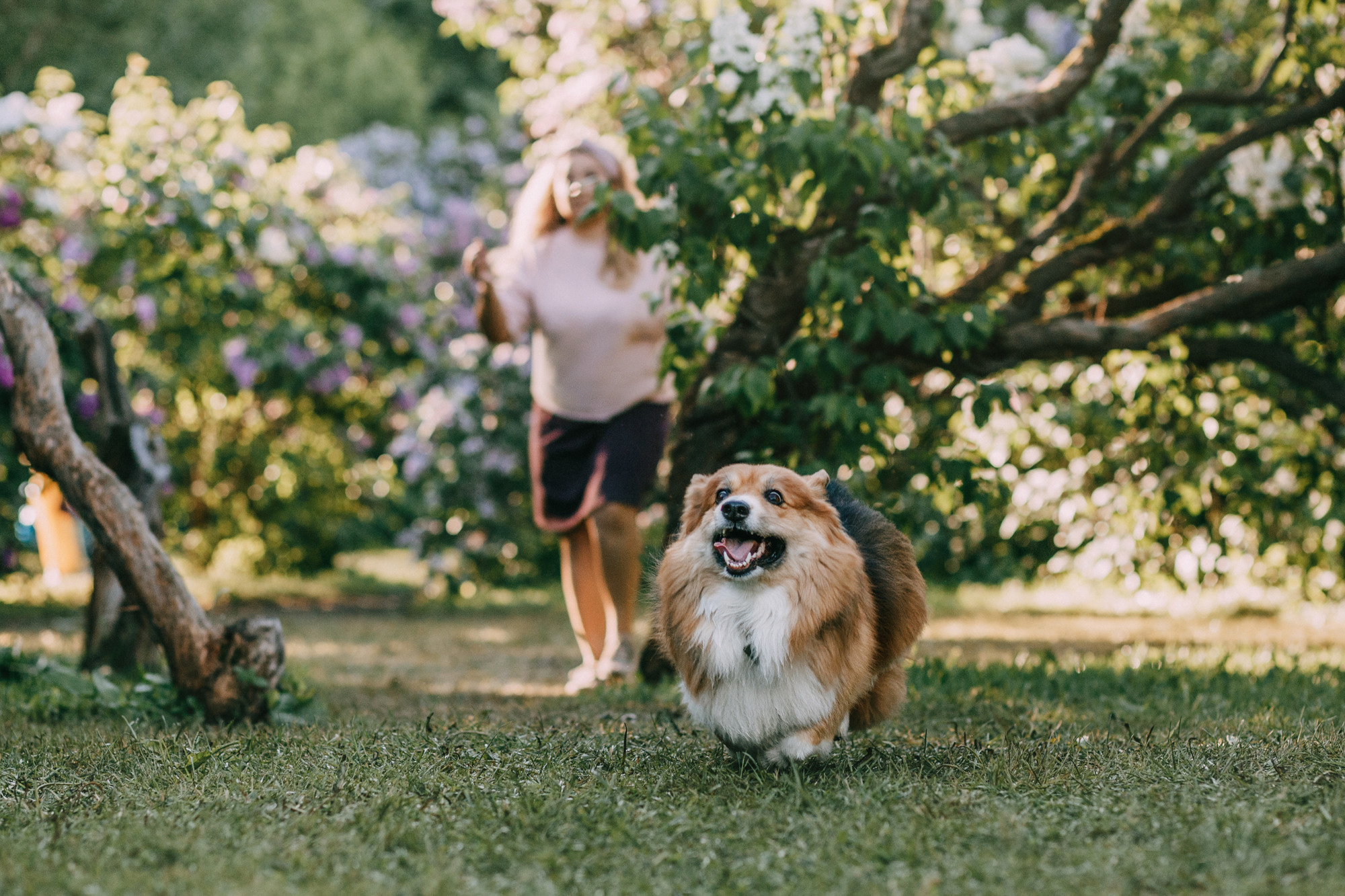 Аша и Робби. Фотограф-анималист Елена Радченко, Москва