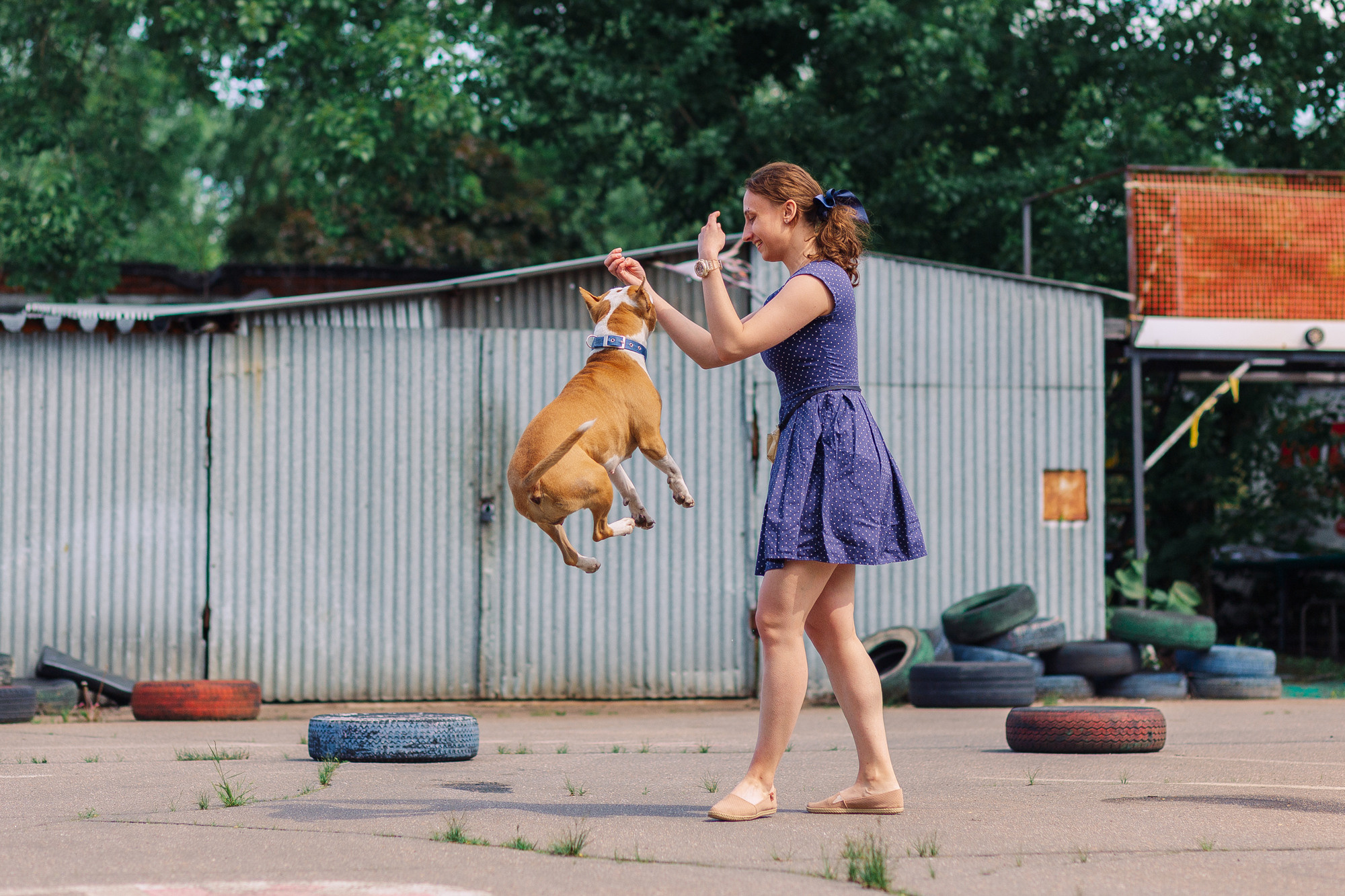 Дог-туса. Фотограф-анималист Елена Радченко, Москва