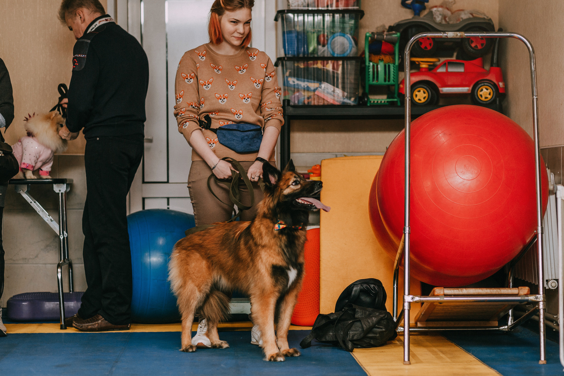 Собачий Новый год. Фотограф-анималист Елена Радченко, Москва