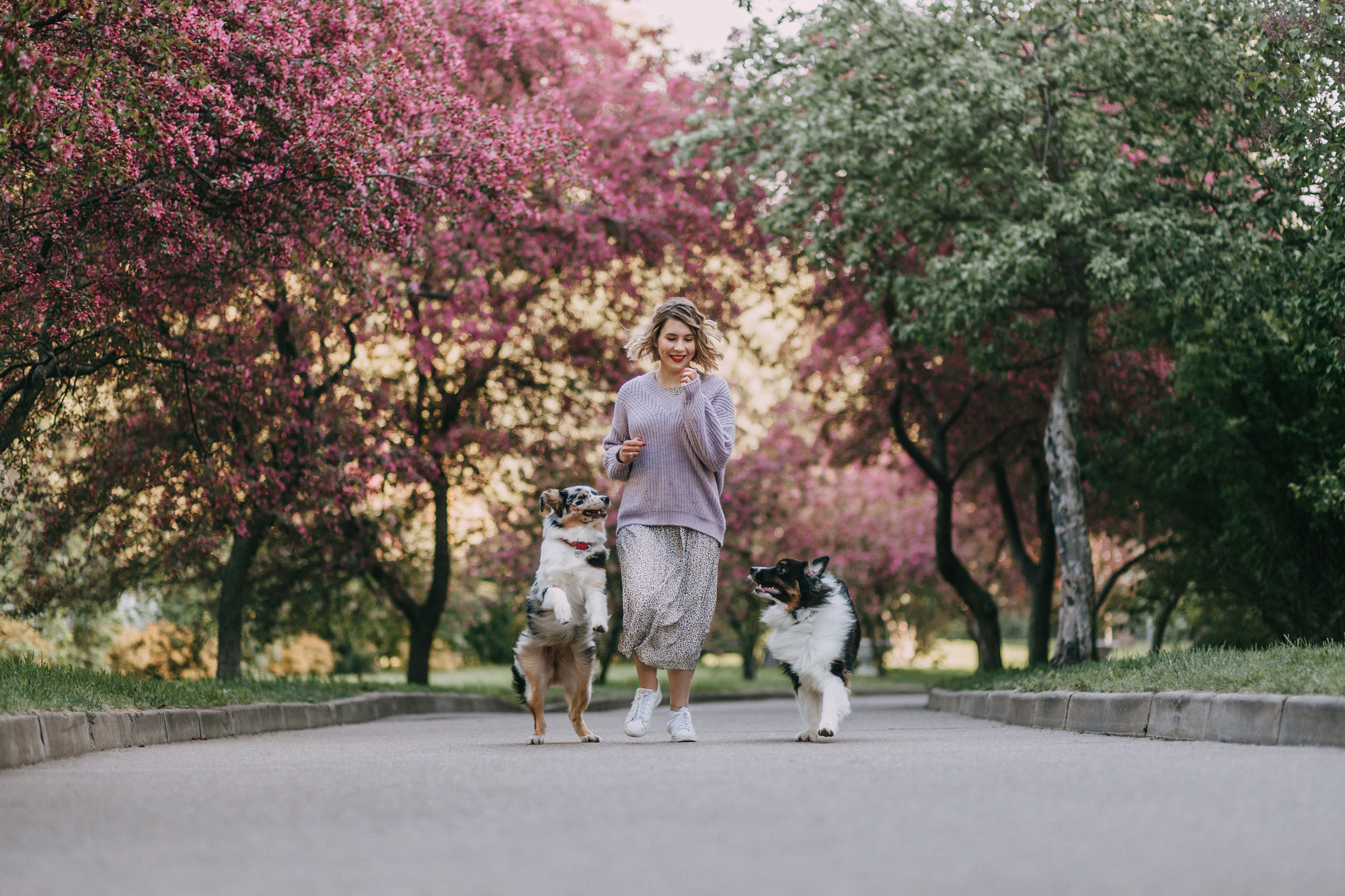 Анна, Чарли и Ева. Фотограф-анималист Елена Радченко, Москва