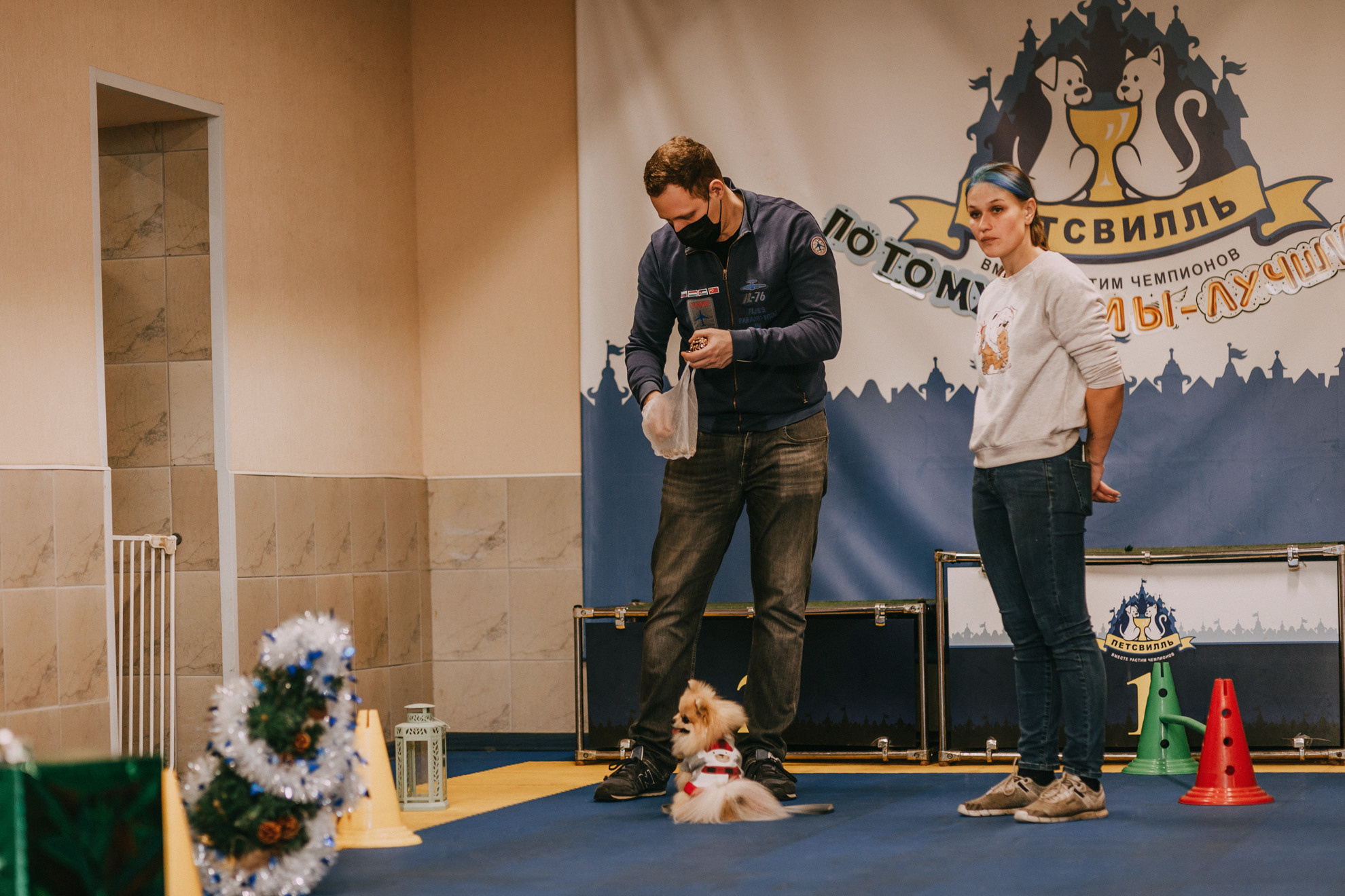 Собачий Новый год. Фотограф-анималист Елена Радченко, Москва