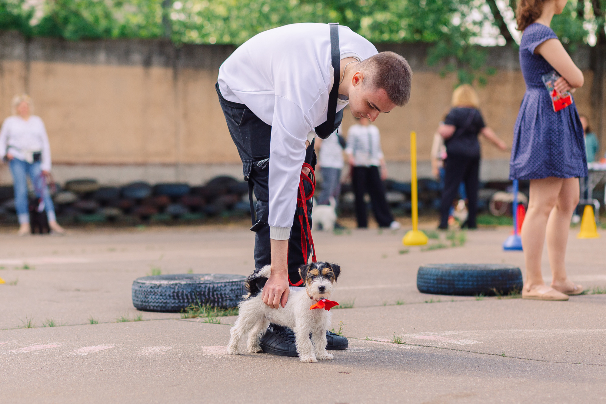 Дог-туса. Фотограф-анималист Елена Радченко, Москва
