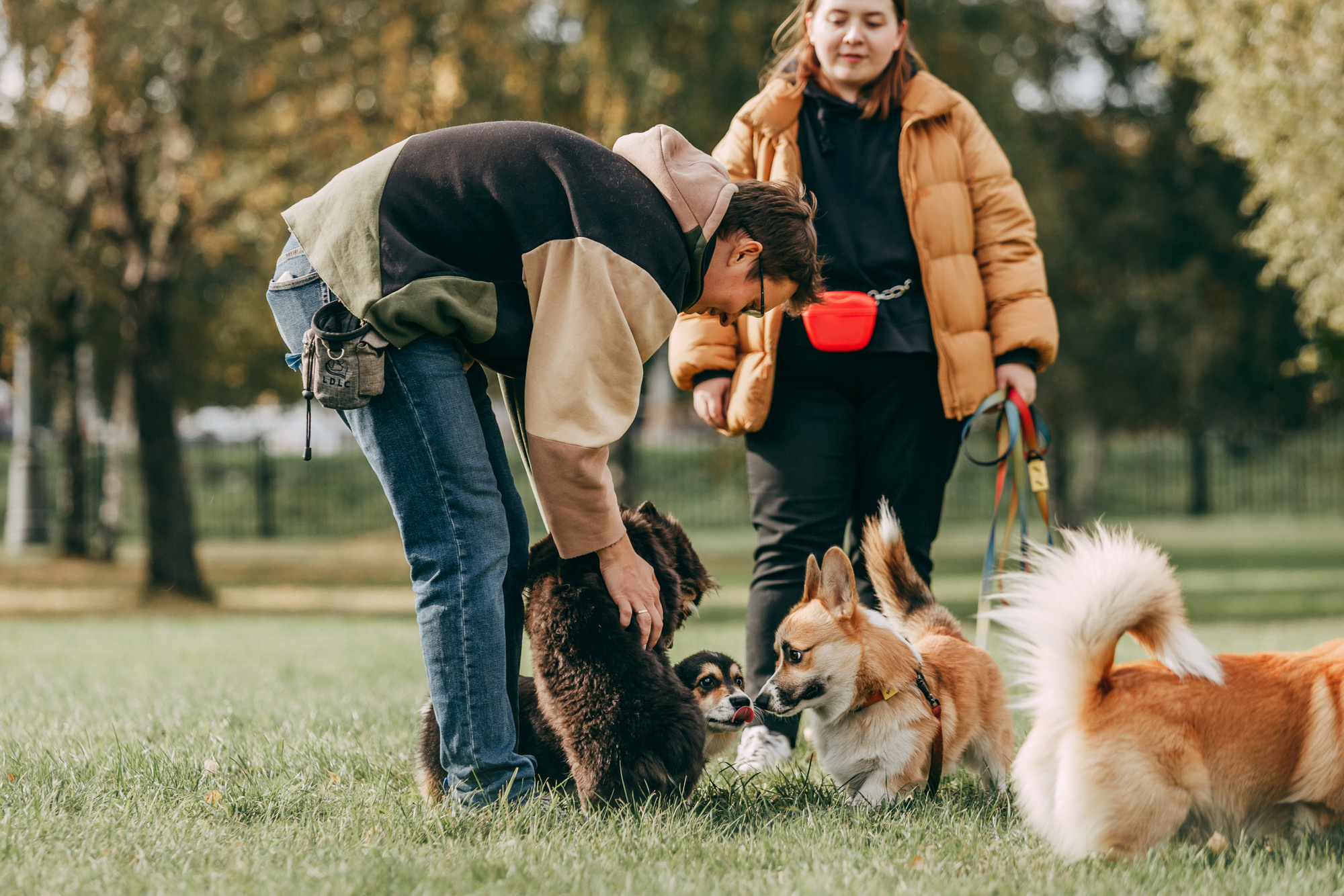 День рождения Габи. Фотограф-анималист Елена Радченко, Москва