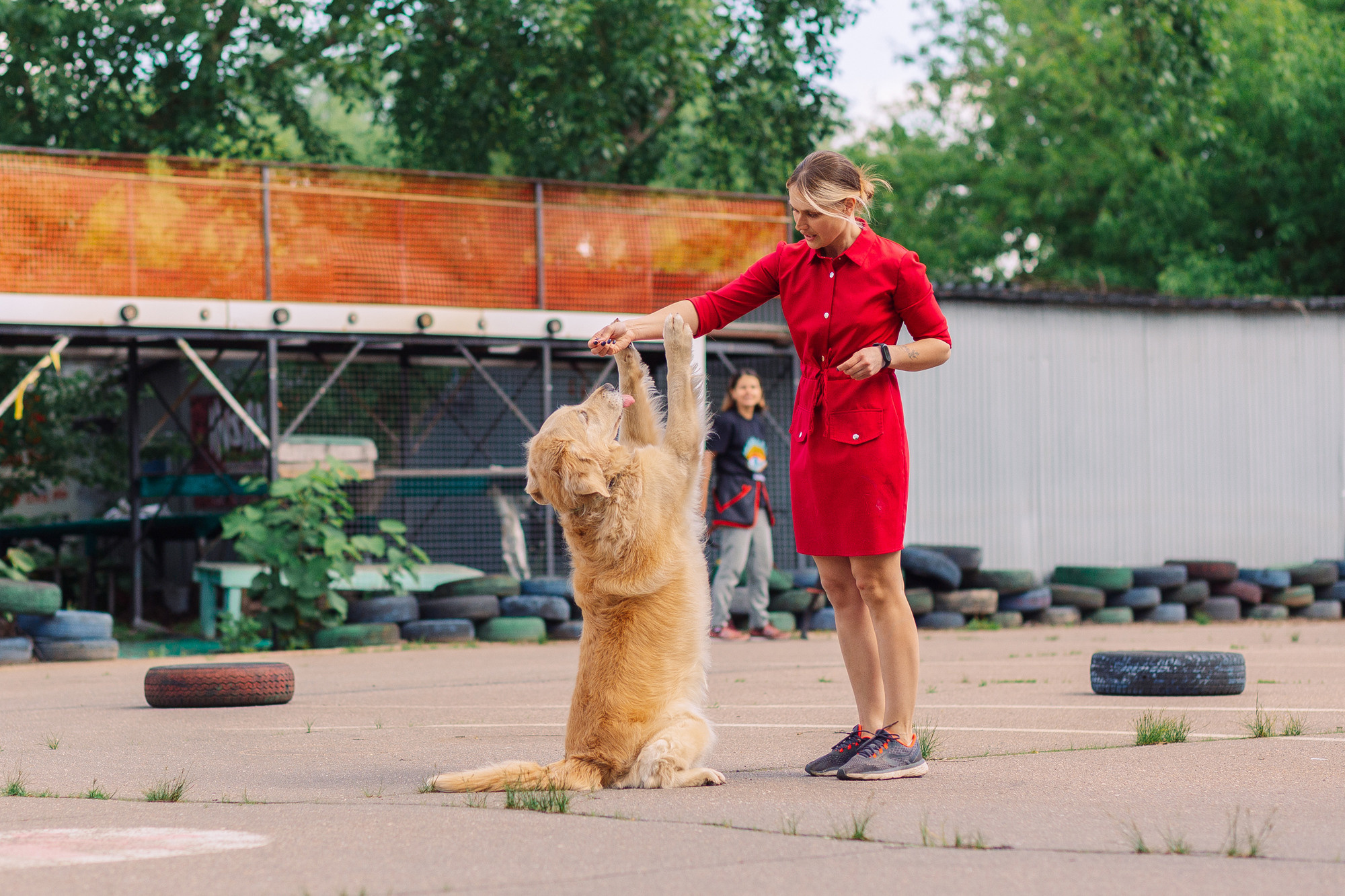 Дог-туса. Фотограф-анималист Елена Радченко, Москва