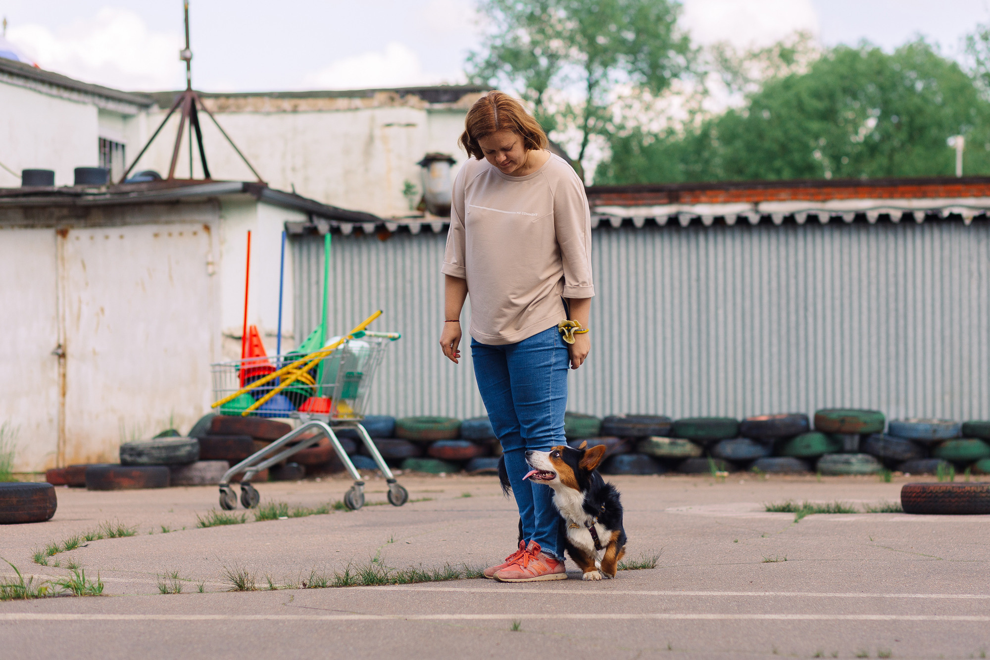 Дог-туса. Фотограф-анималист Елена Радченко, Москва