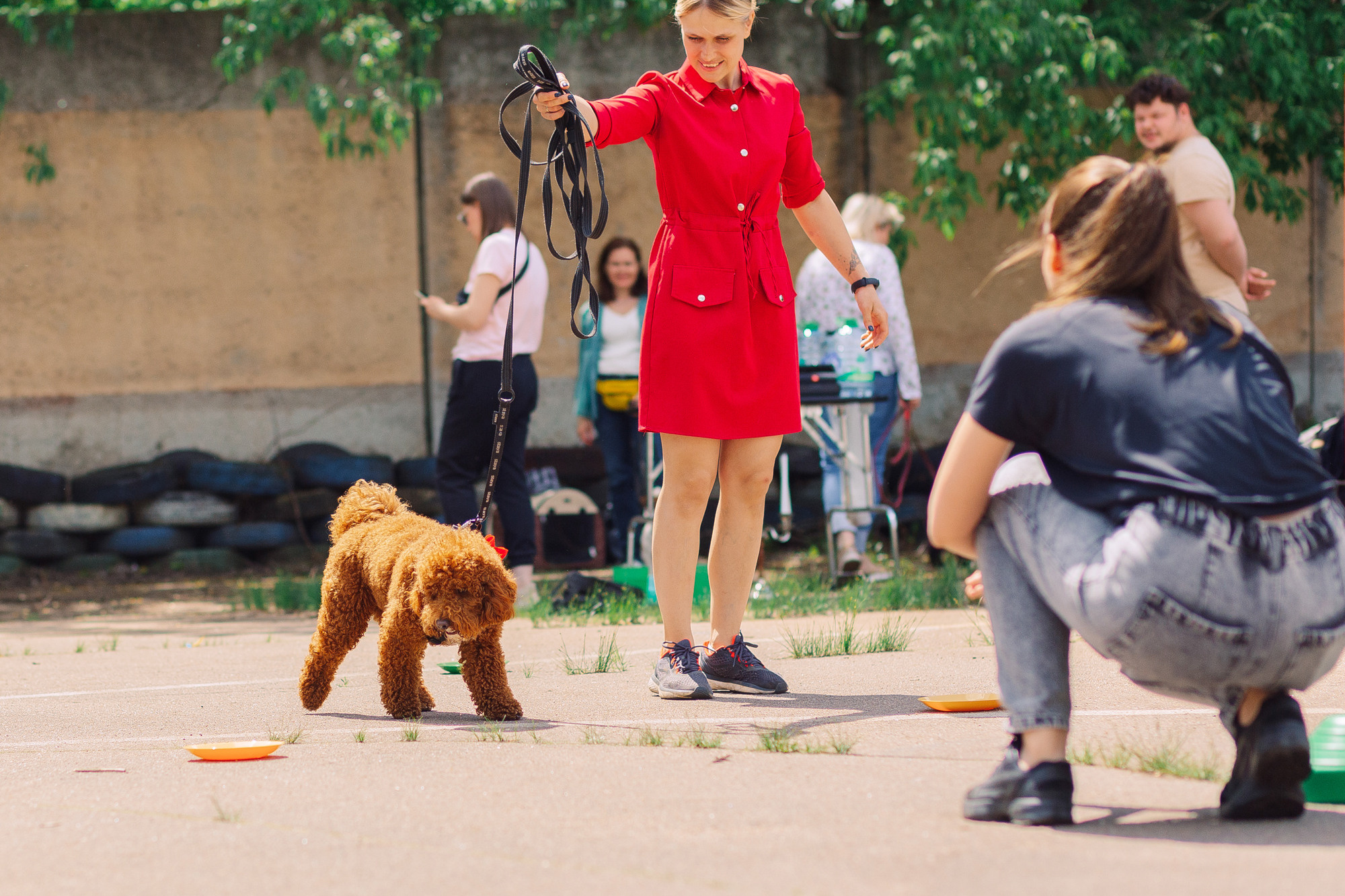 Дог-туса. Фотограф-анималист Елена Радченко, Москва