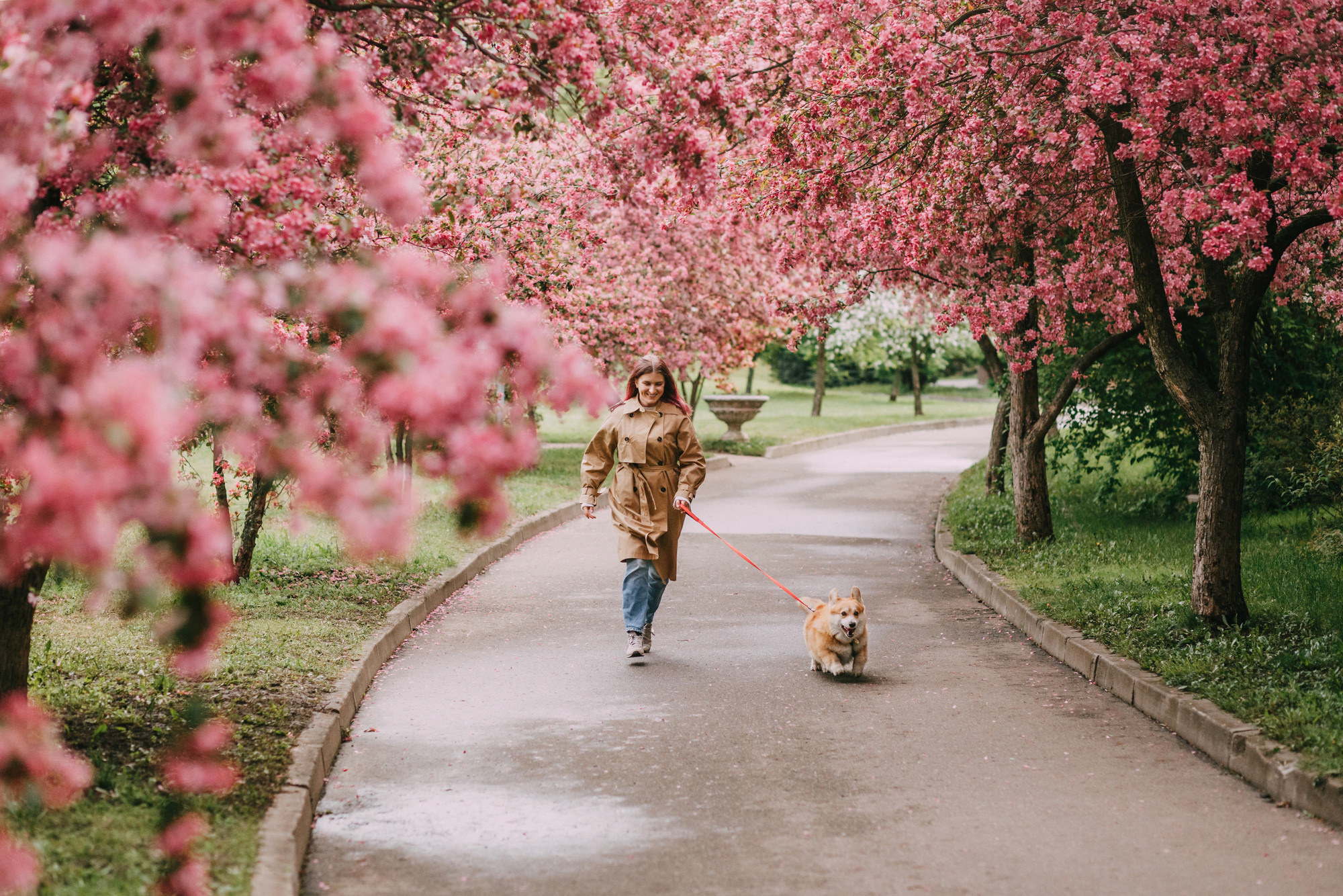 Анна и Филипп. Фотограф-анималист Елена Радченко, Москва