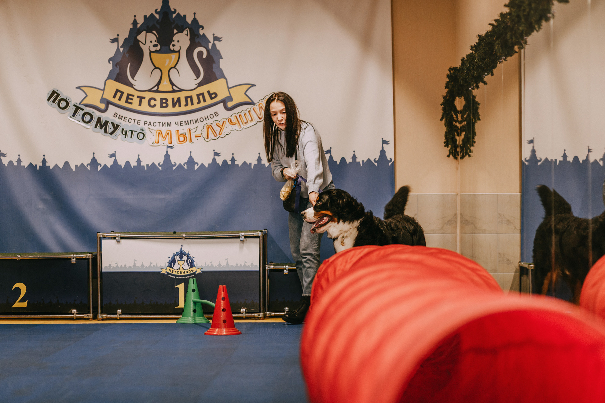 Собачий Новый год. Фотограф-анималист Елена Радченко, Москва