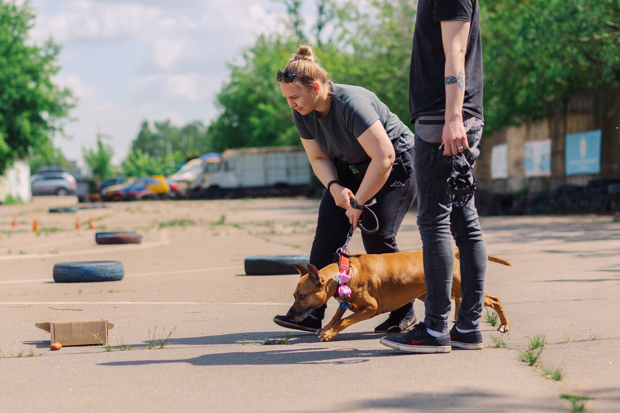 Дог-туса. Фотограф-анималист Елена Радченко, Москва