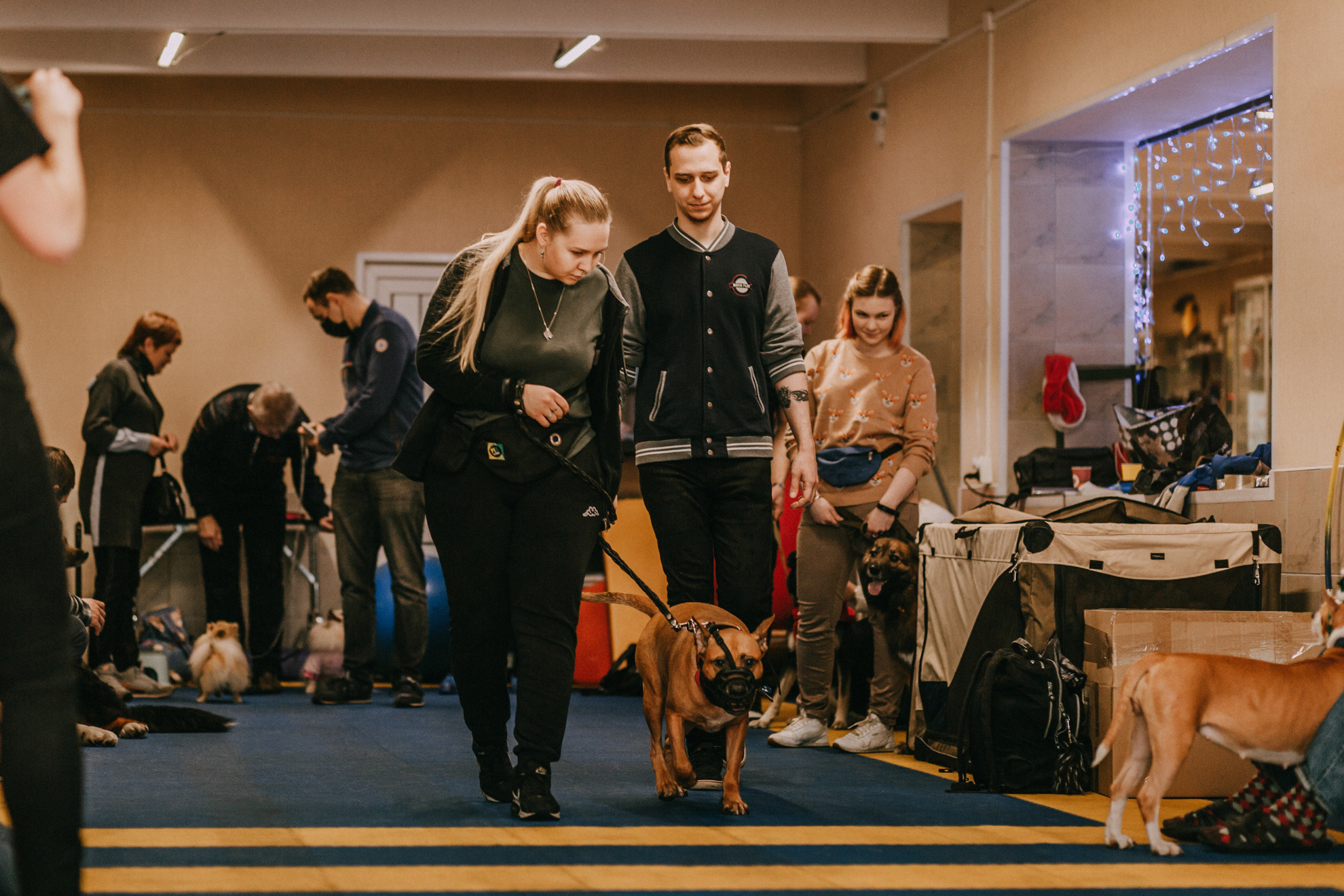 Собачий Новый год. Фотограф-анималист Елена Радченко, Москва
