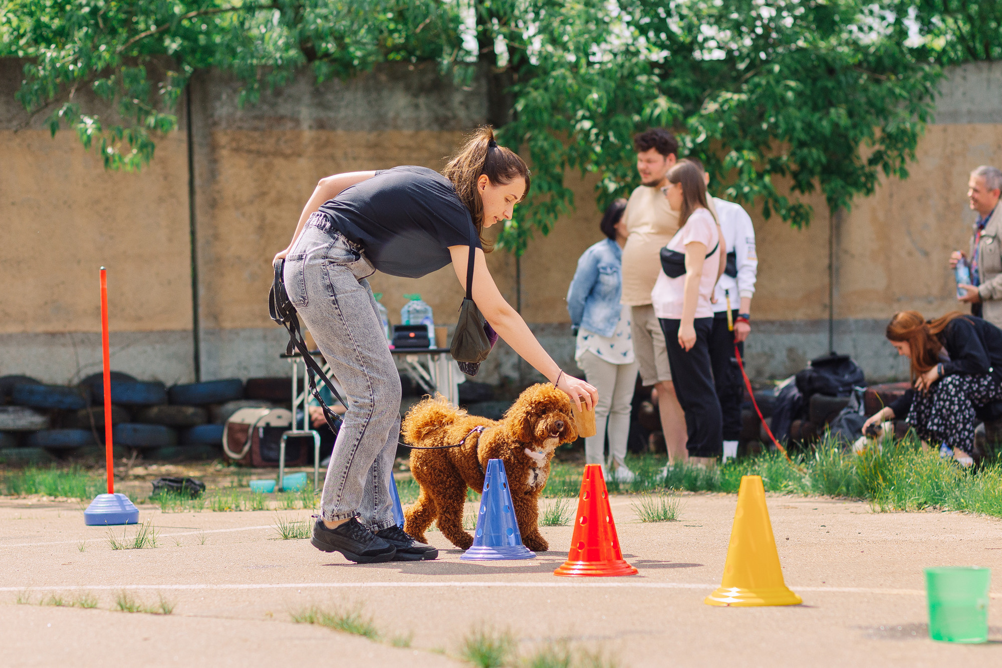 Дог-туса. Фотограф-анималист Елена Радченко, Москва
