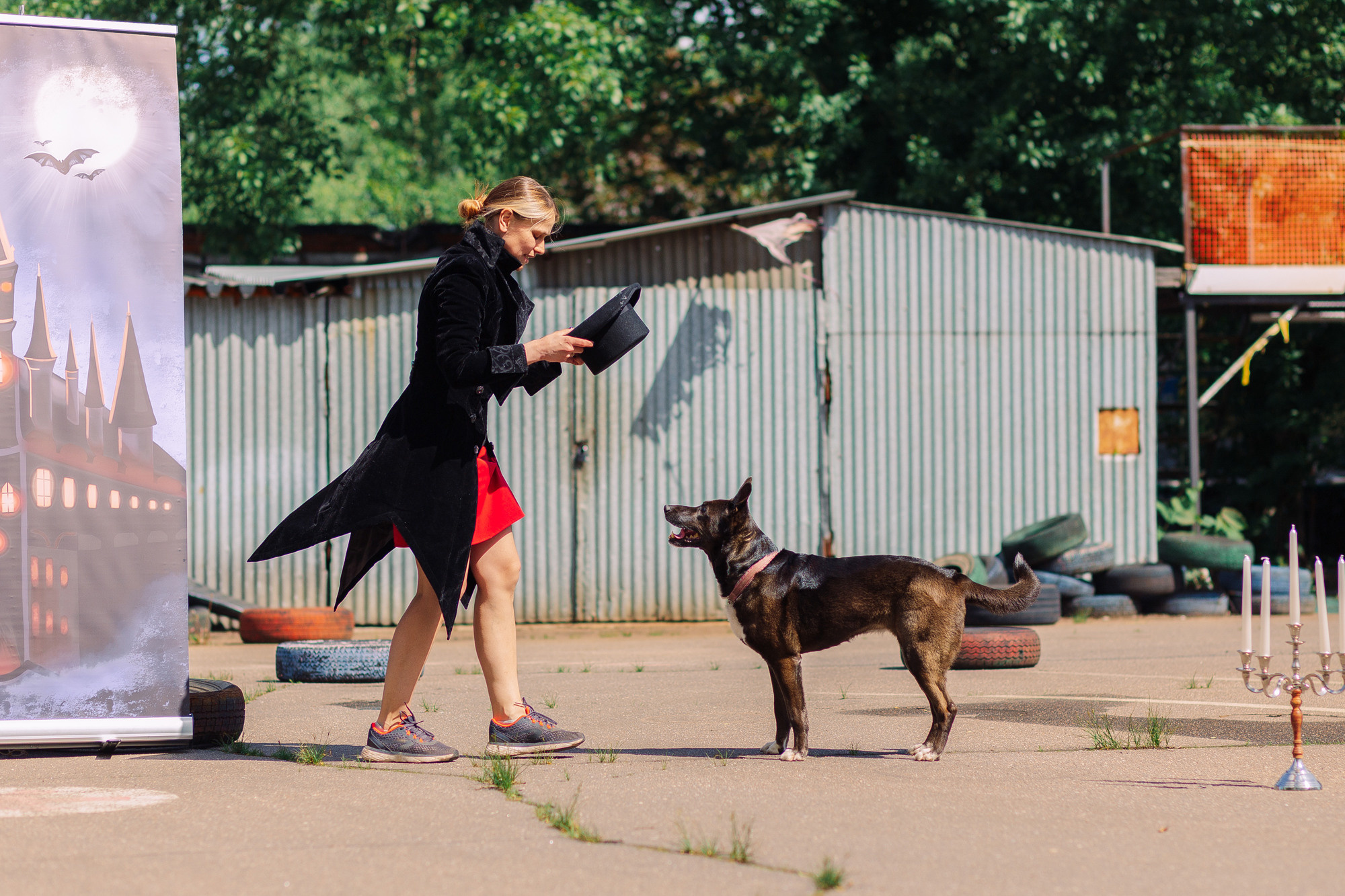 Дог-туса. Фотограф-анималист Елена Радченко, Москва