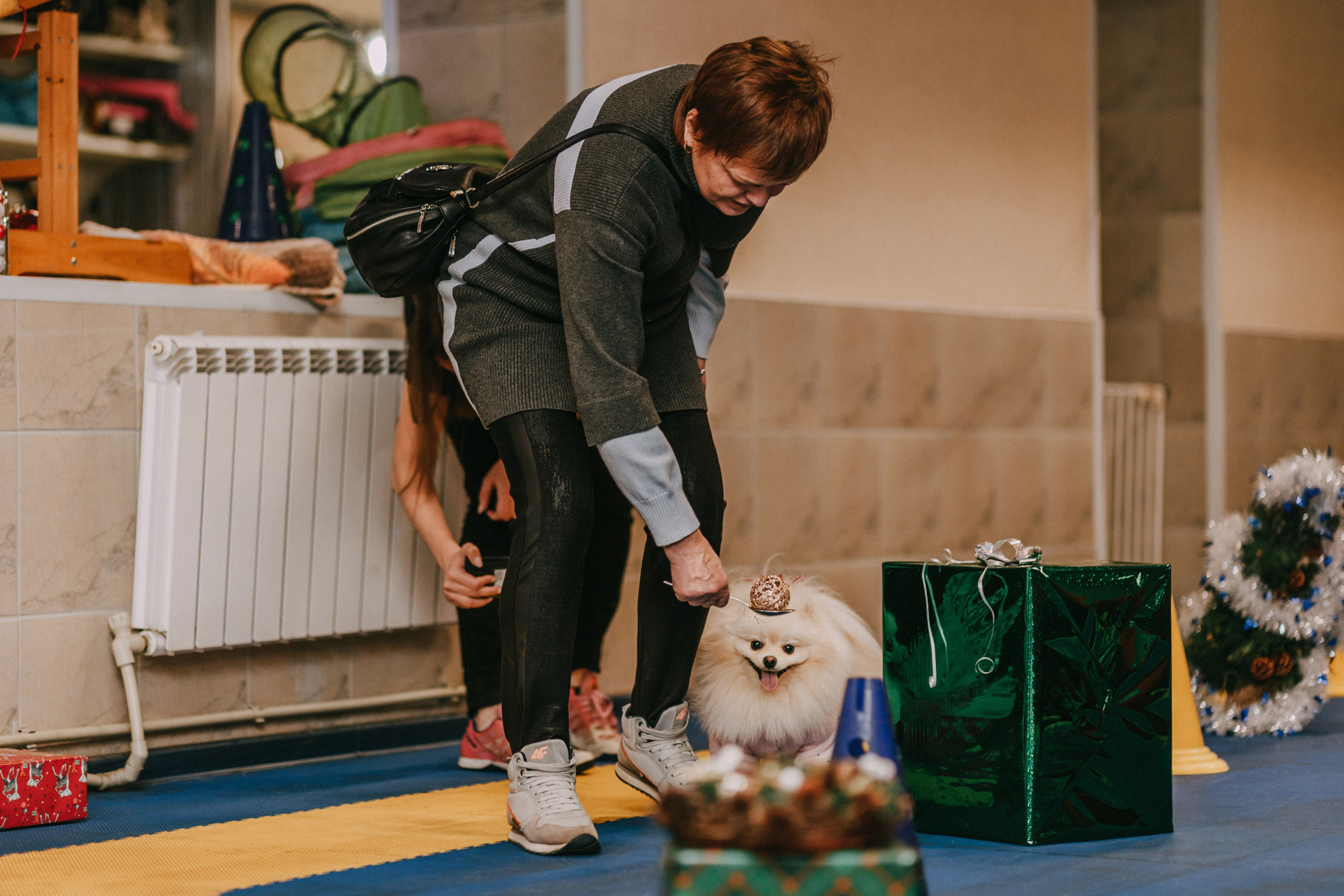 Собачий Новый год. Фотограф-анималист Елена Радченко, Москва