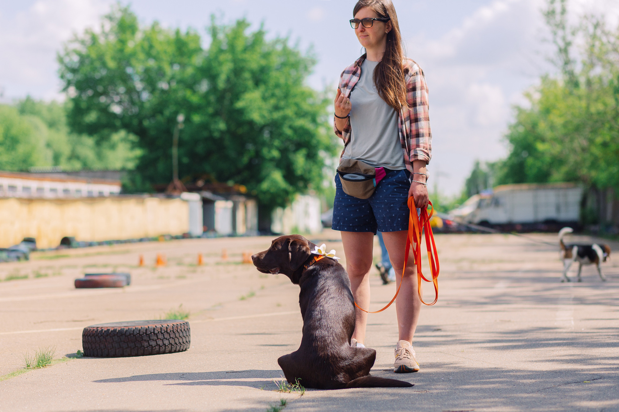 Дог-туса. Фотограф-анималист Елена Радченко, Москва