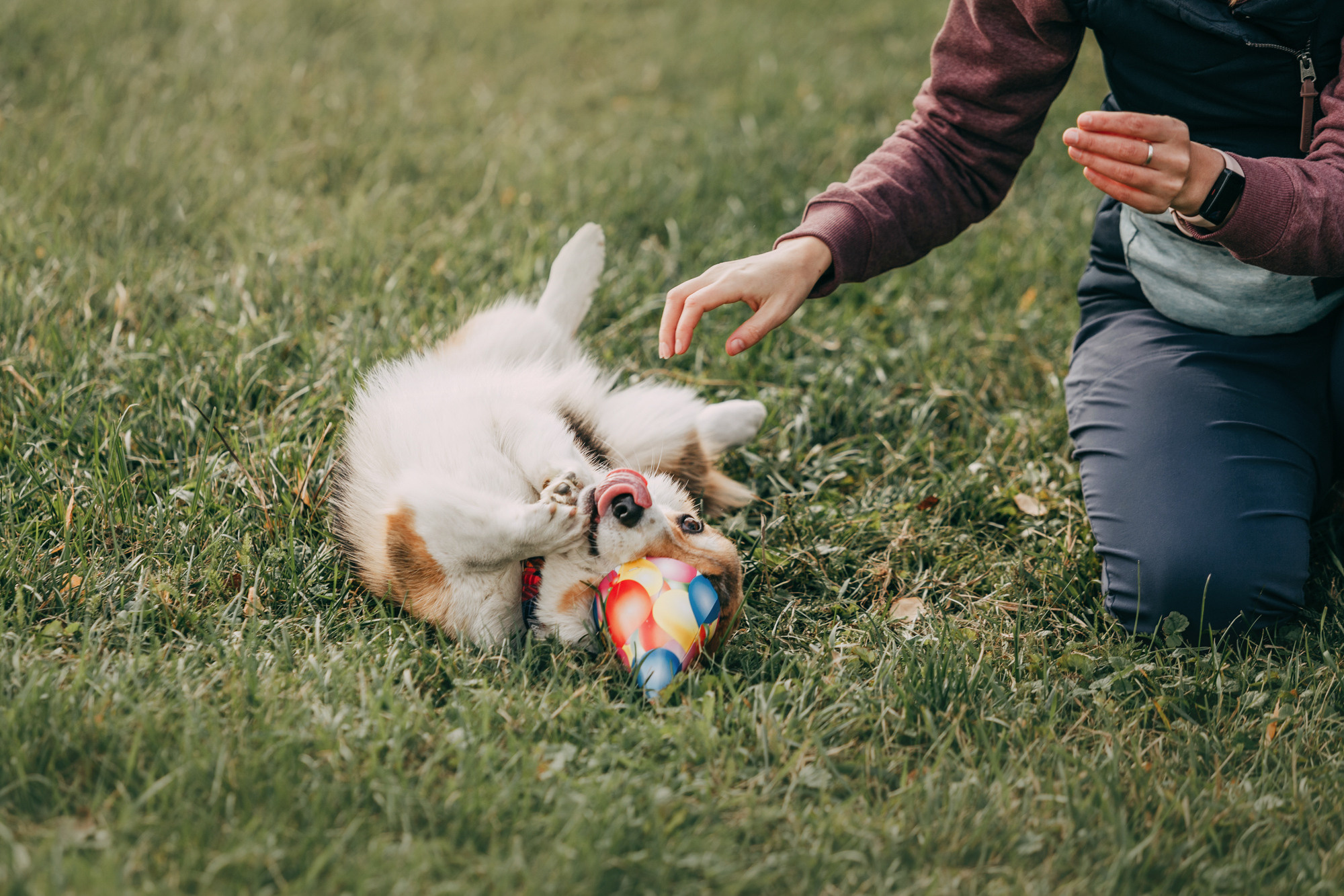 День рождения Габи. Фотограф-анималист Елена Радченко, Москва