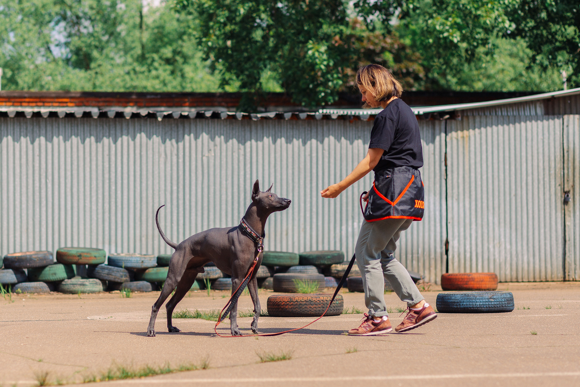 Дог-туса. Фотограф-анималист Елена Радченко, Москва