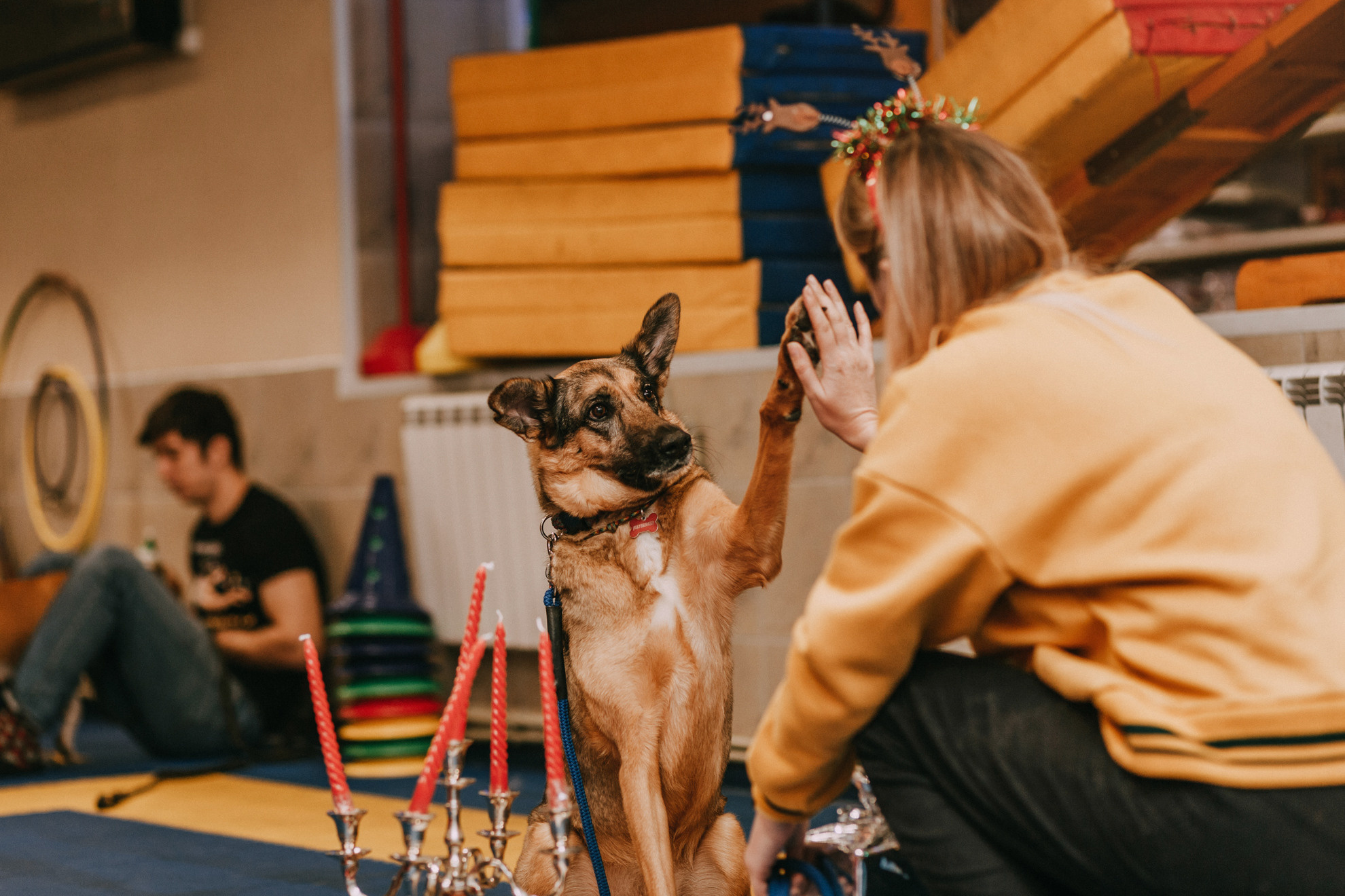 Собачий Новый год. Фотограф-анималист Елена Радченко, Москва