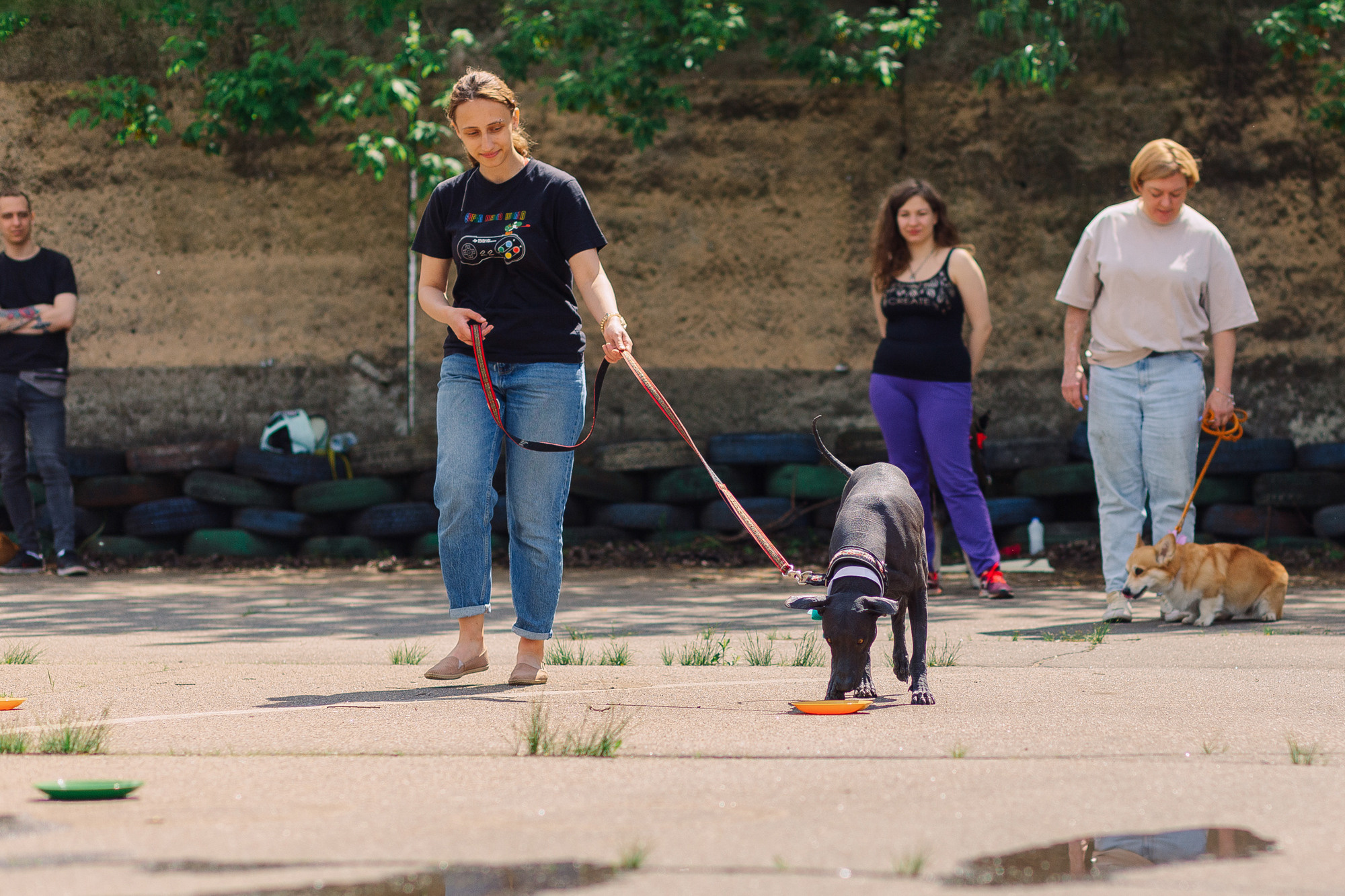 Дог-туса. Фотограф-анималист Елена Радченко, Москва