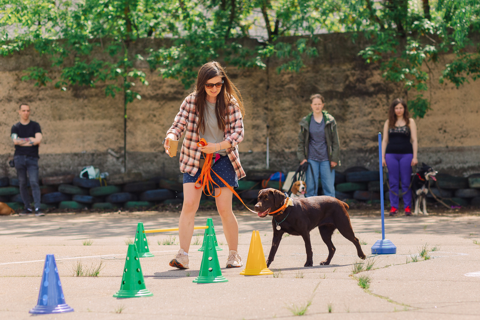 Дог-туса. Фотограф-анималист Елена Радченко, Москва