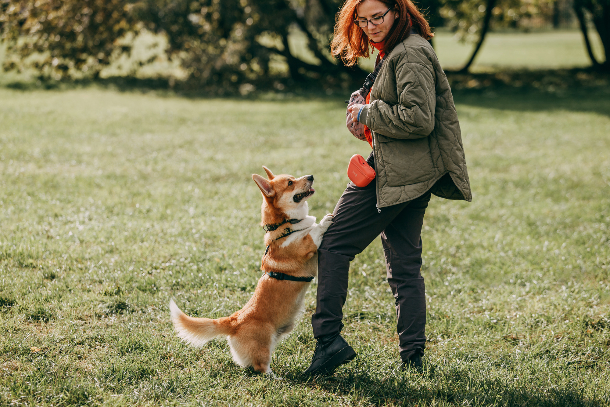 День рождения Габи. Фотограф-анималист Елена Радченко, Москва