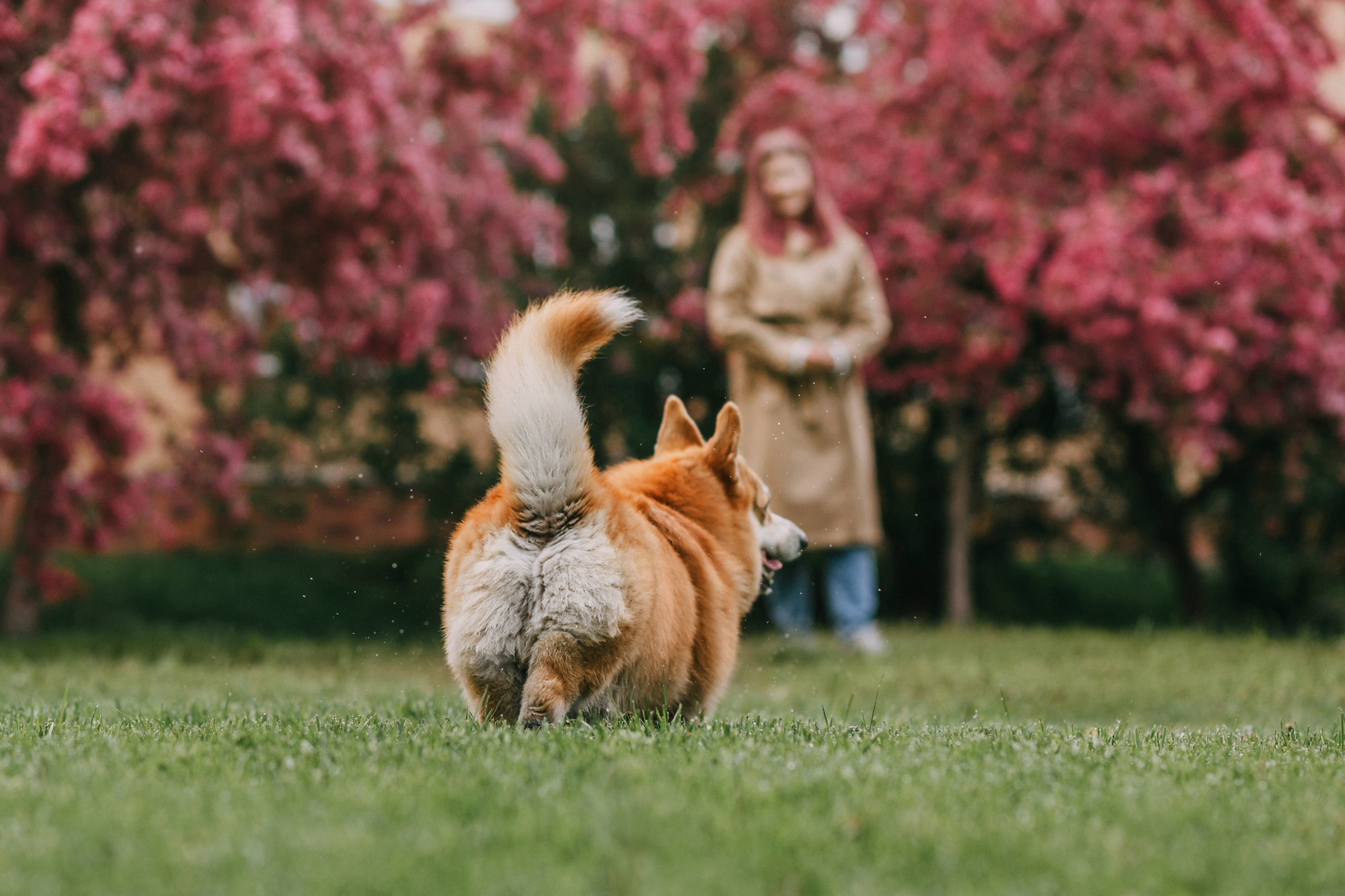 Анна и Филипп. Фотограф-анималист Елена Радченко, Москва