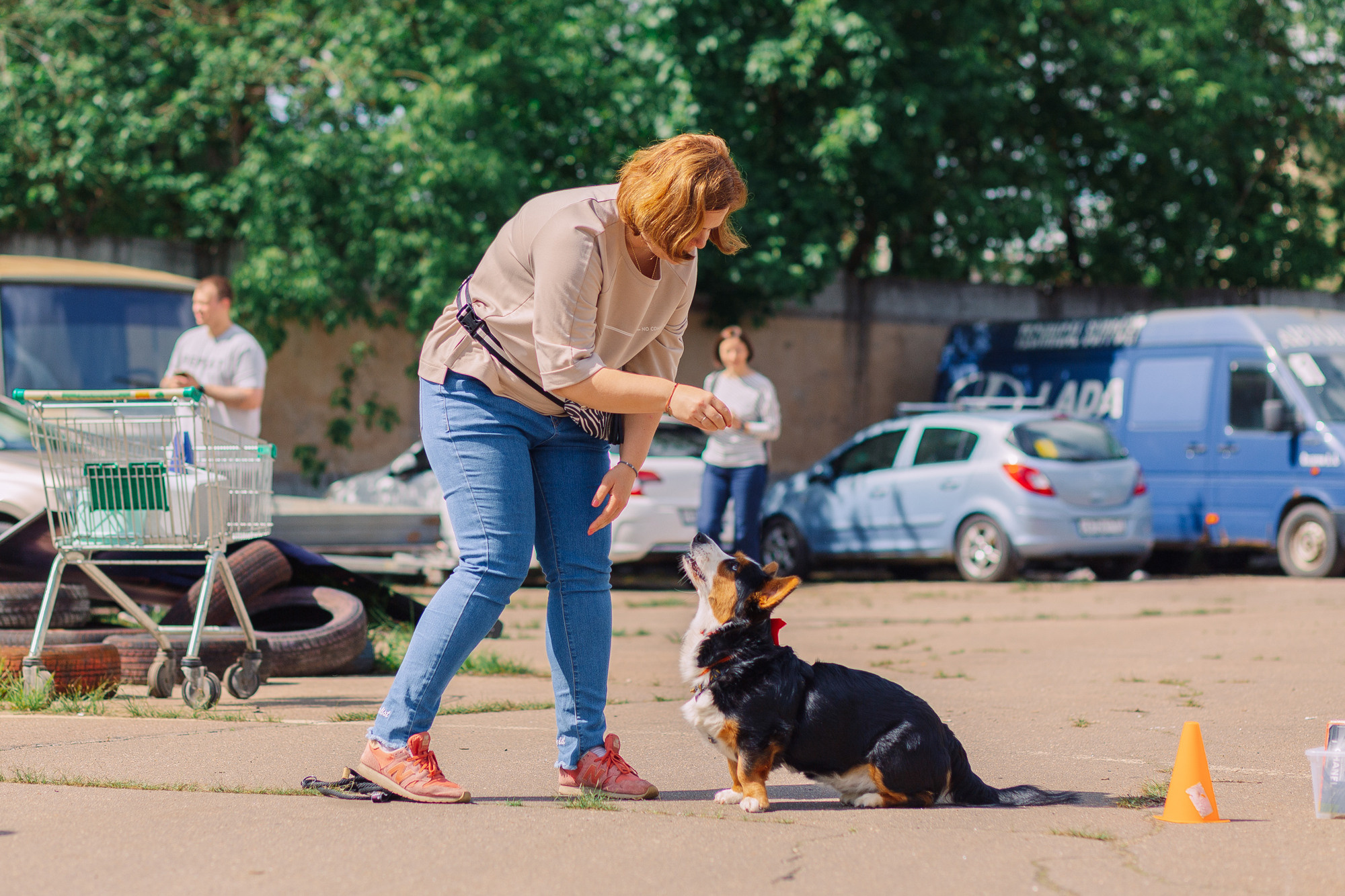 Дог-туса. Фотограф-анималист Елена Радченко, Москва