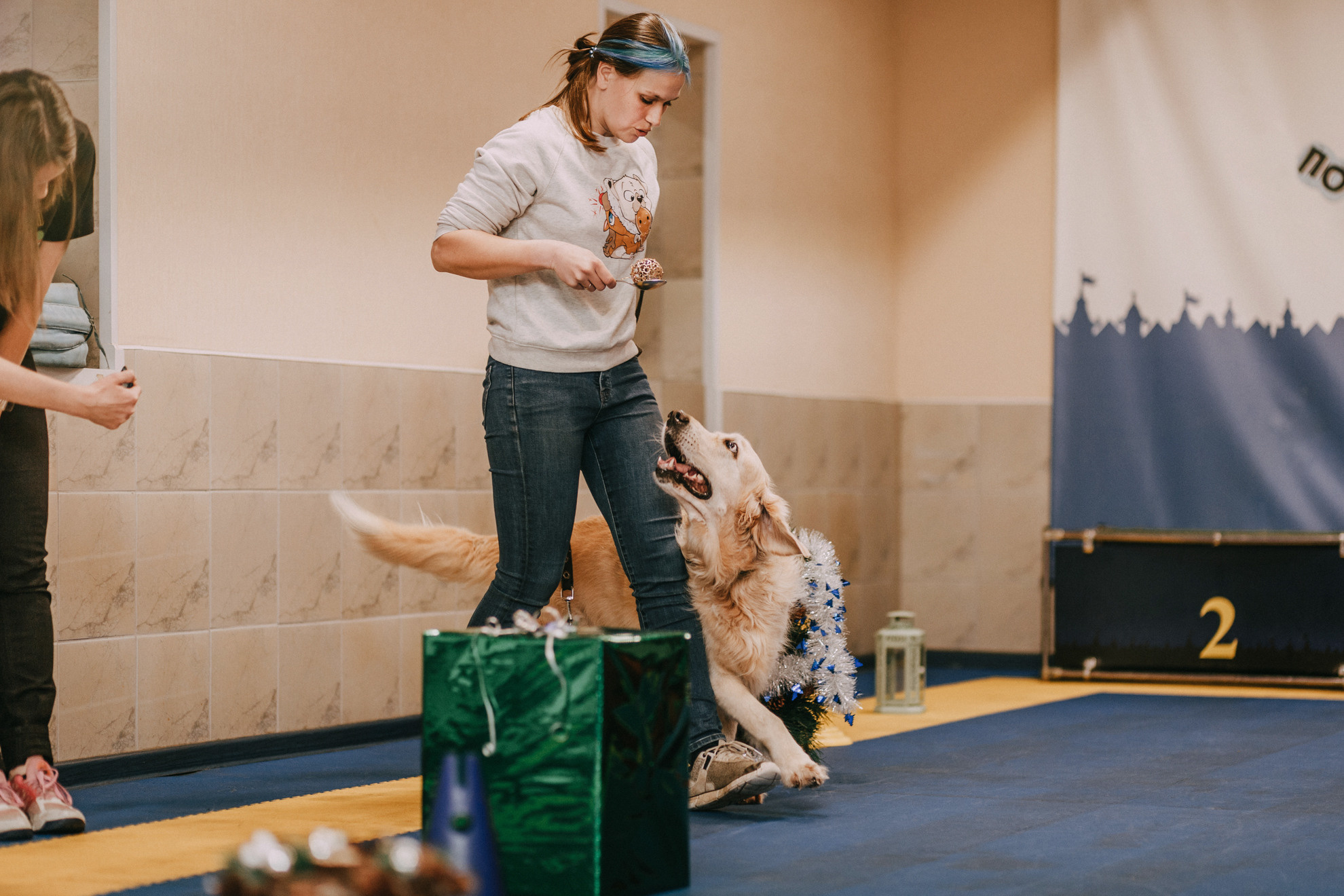 Собачий Новый год. Фотограф-анималист Елена Радченко, Москва