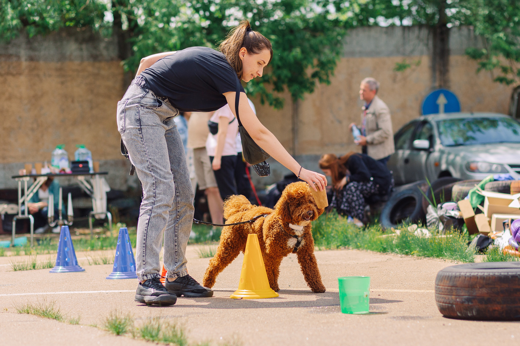 Дог-туса. Фотограф-анималист Елена Радченко, Москва