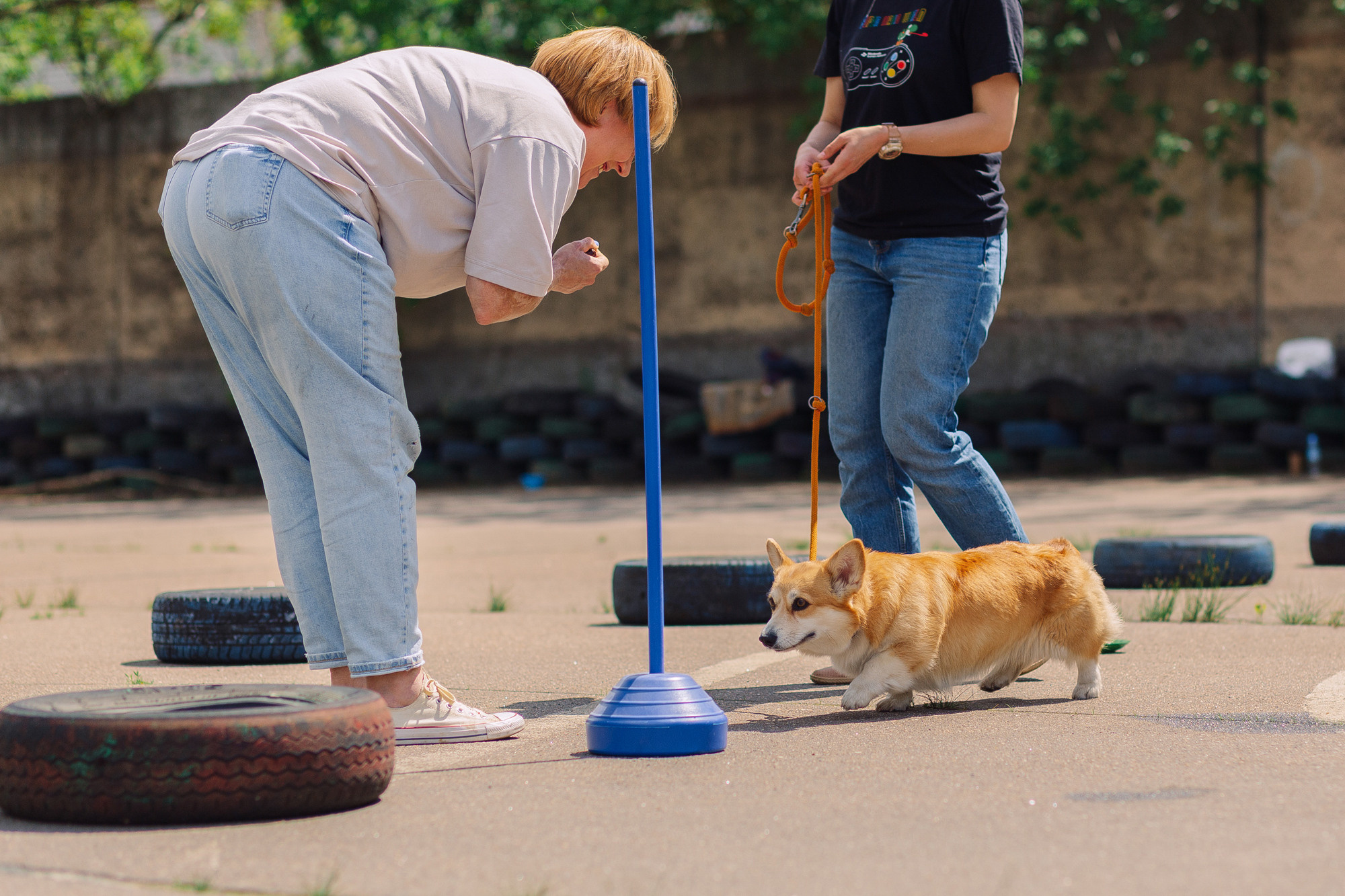 Дог-туса. Фотограф-анималист Елена Радченко, Москва