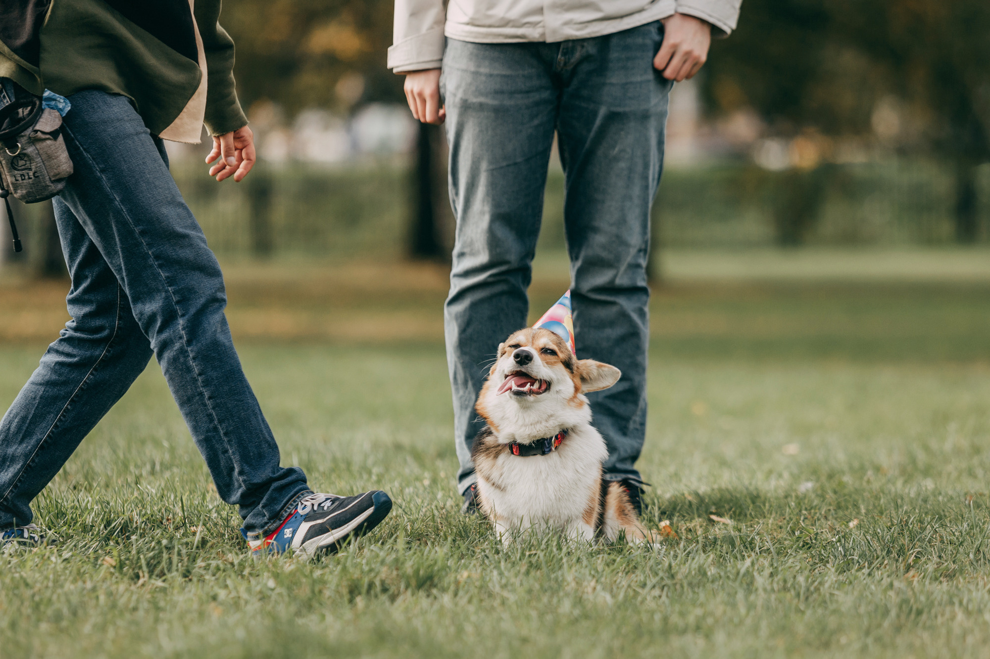 День рождения Габи. Фотограф-анималист Елена Радченко, Москва