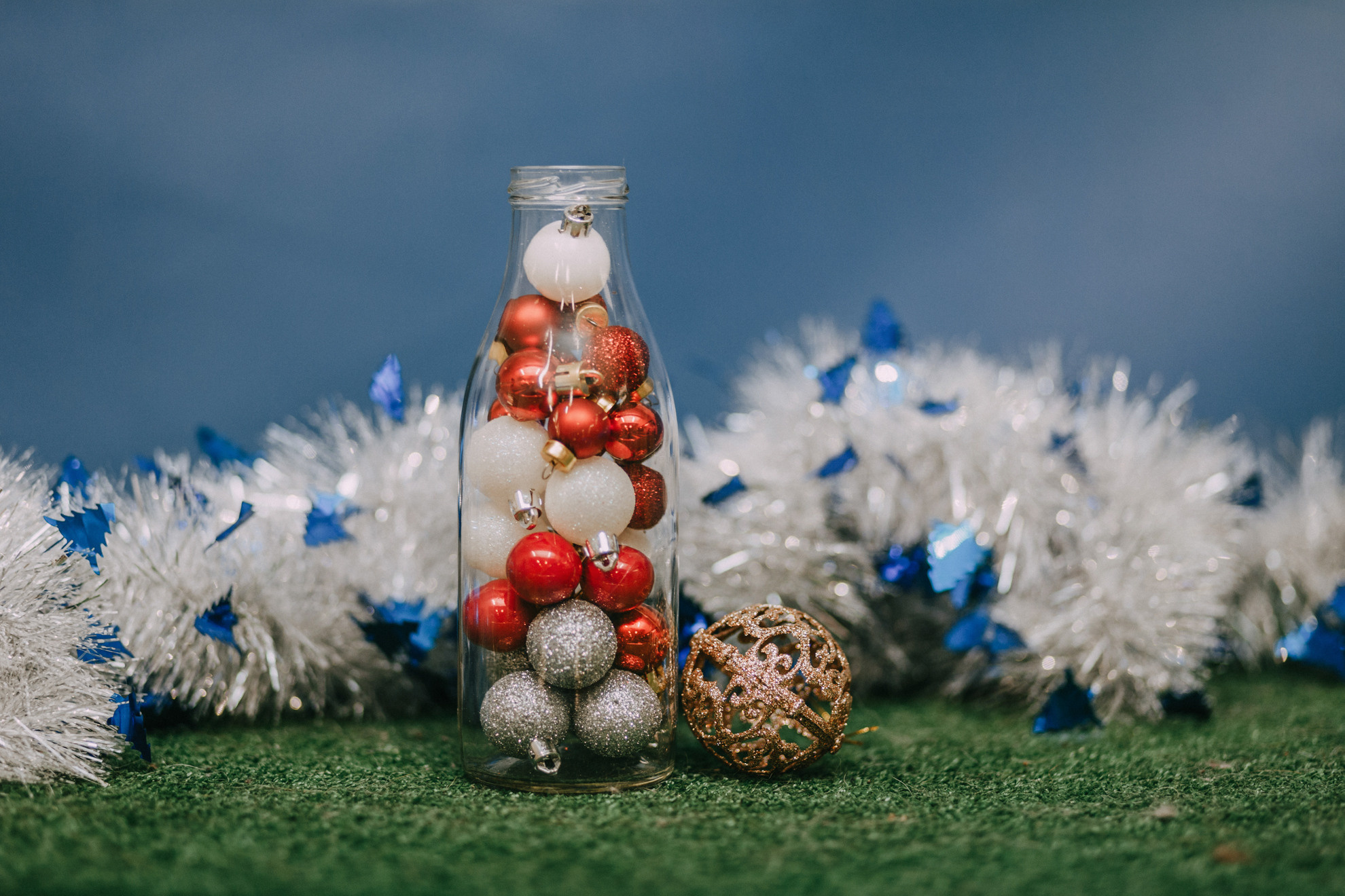 Собачий Новый год. Фотограф-анималист Елена Радченко, Москва