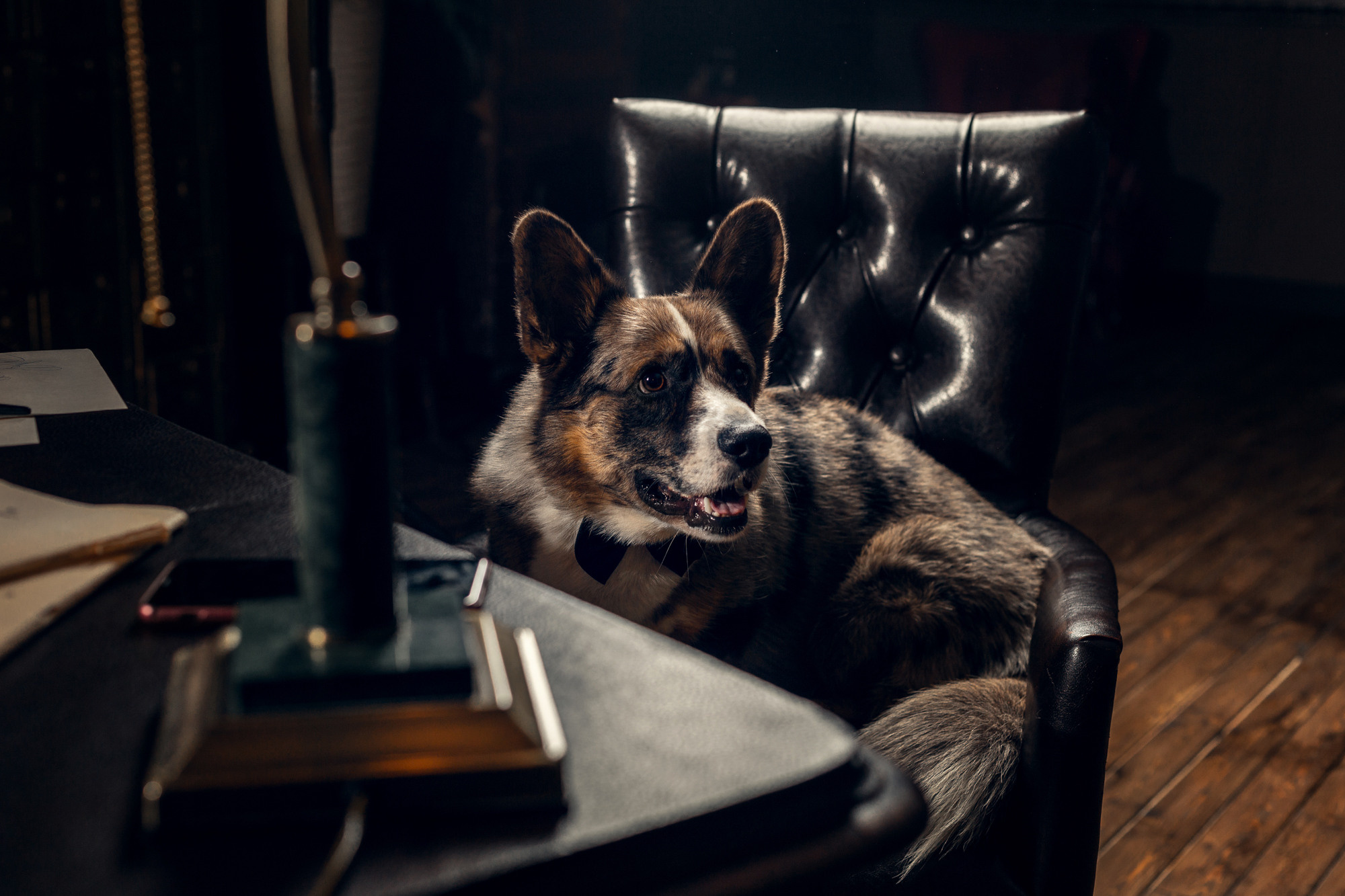 Оля и Куб. Фотограф-анималист Елена Радченко, Москва