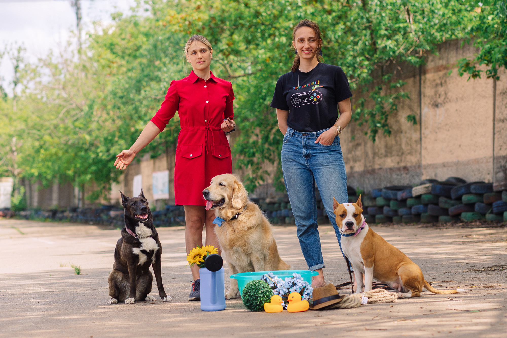 Дог-туса. Фотограф-анималист Елена Радченко, Москва