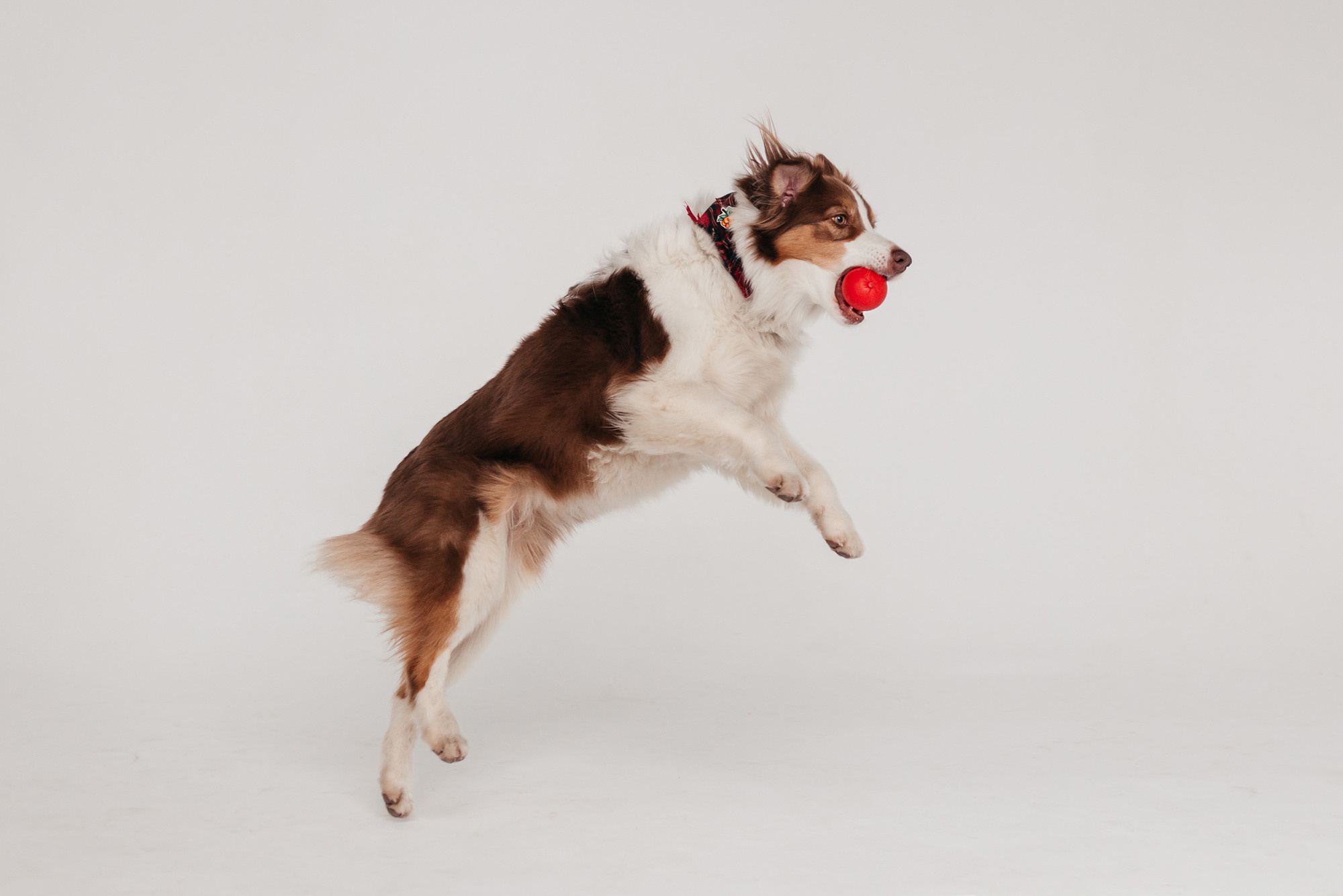 Фотодень 4 апреля. Фотограф-анималист Елена Радченко, Москва