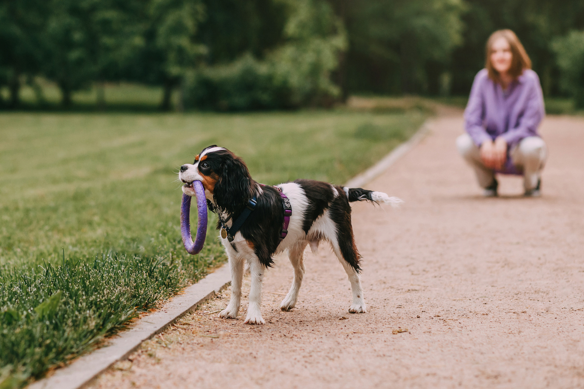 Вика и Морти. Фотограф-анималист Елена Радченко, Москва