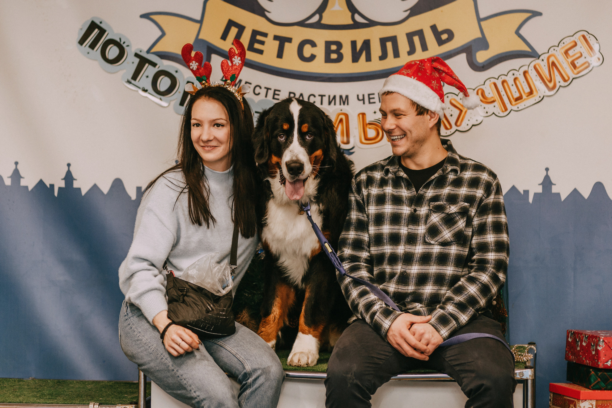 Собачий Новый год. Фотограф-анималист Елена Радченко, Москва