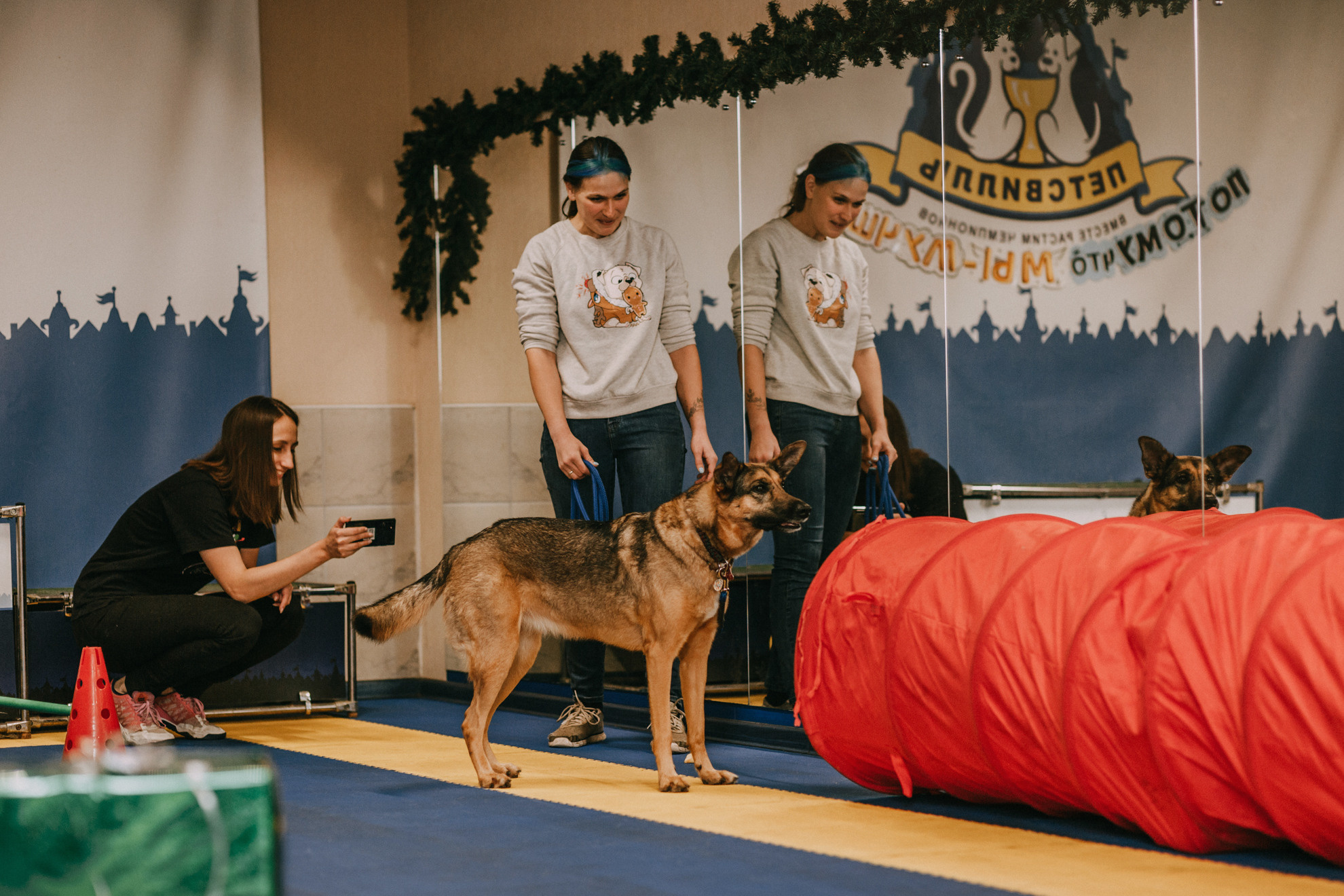 Собачий Новый год. Фотограф-анималист Елена Радченко, Москва