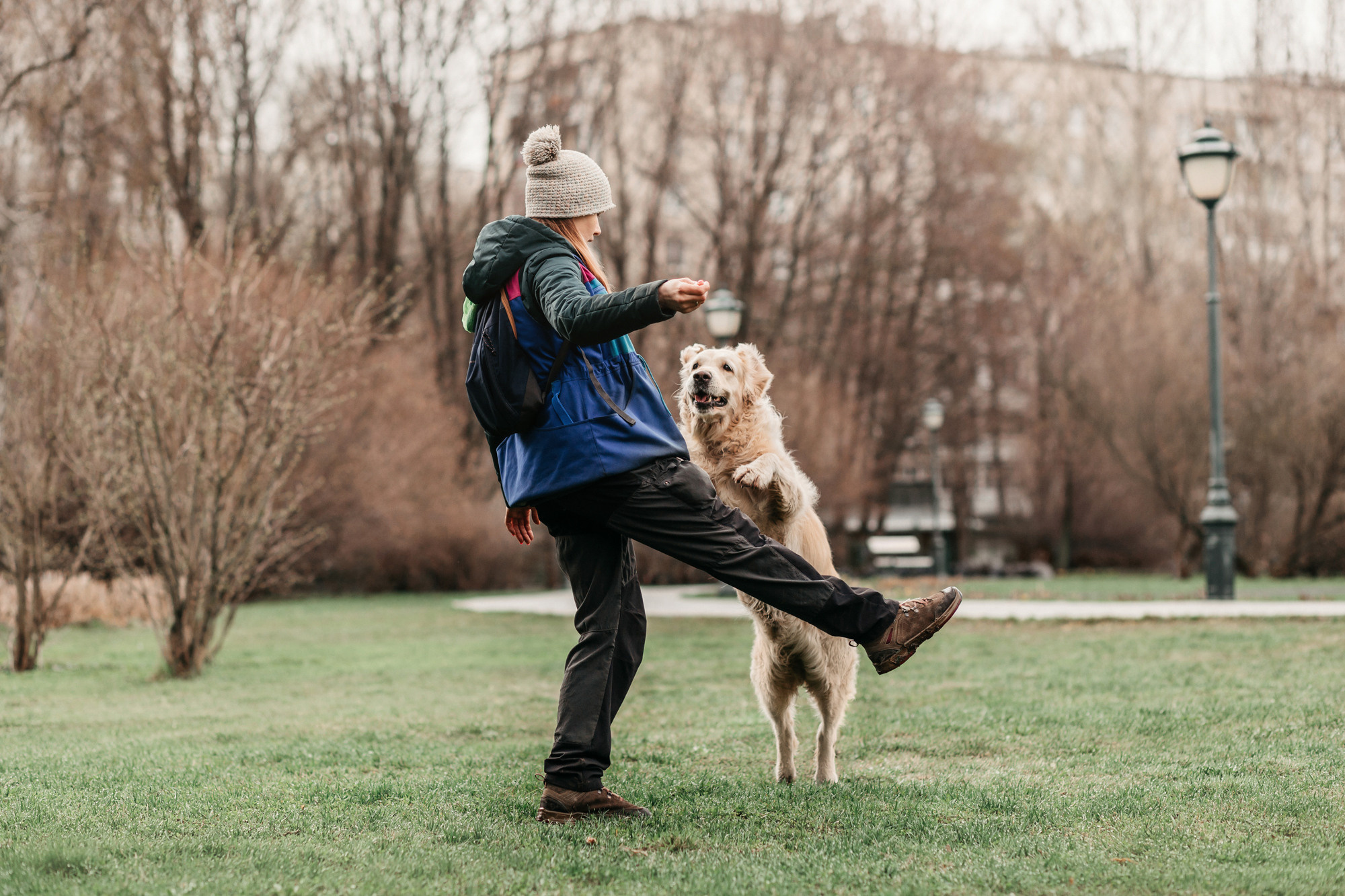 Ира, Бэлла и Альма. Фотограф-анималист Елена Радченко, Москва