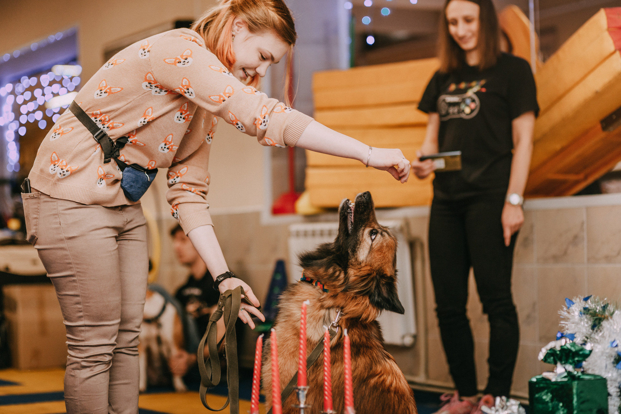 Собачий Новый год. Фотограф-анималист Елена Радченко, Москва
