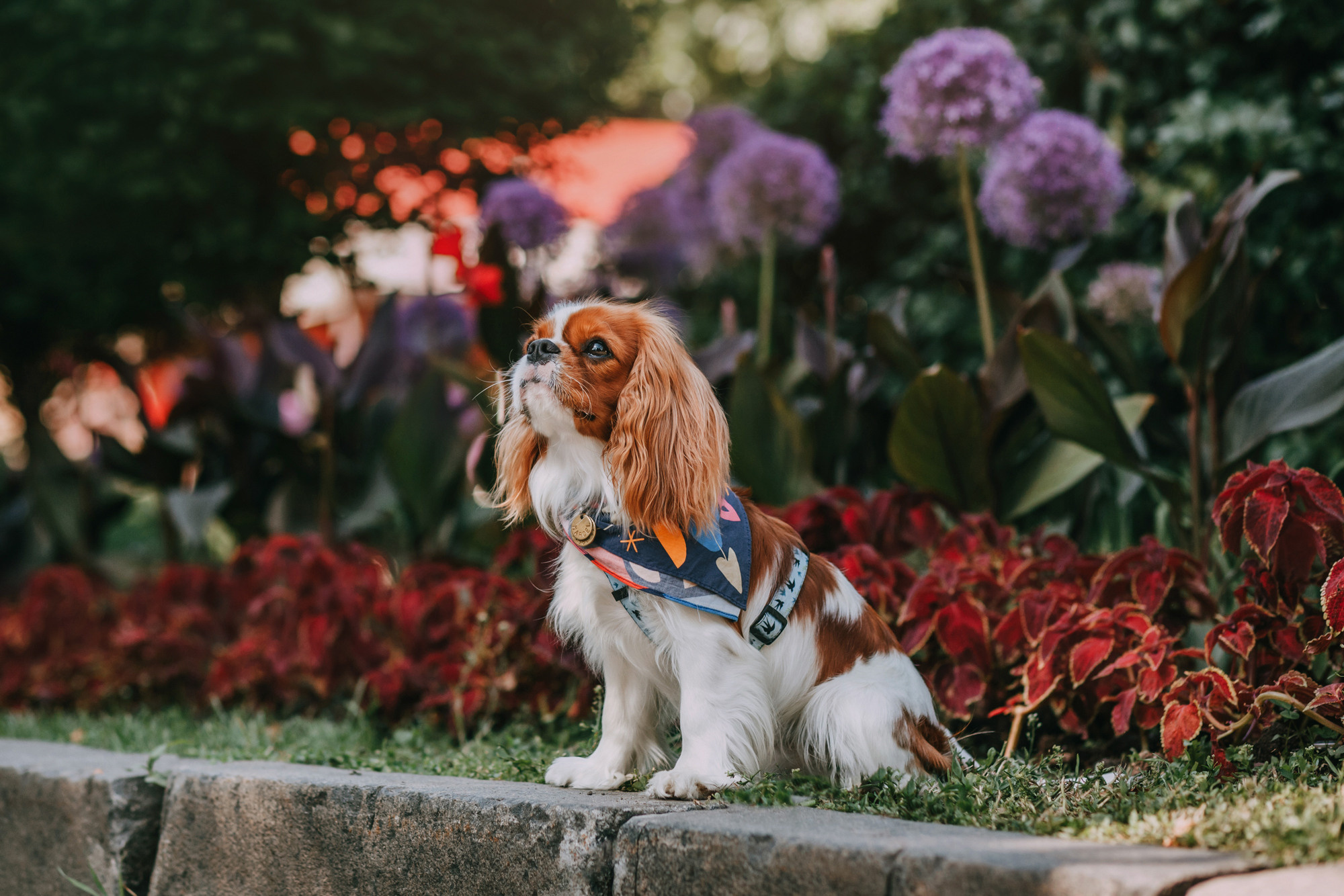 Анастасия и Марсель. Фотограф-анималист Елена Радченко, Москва