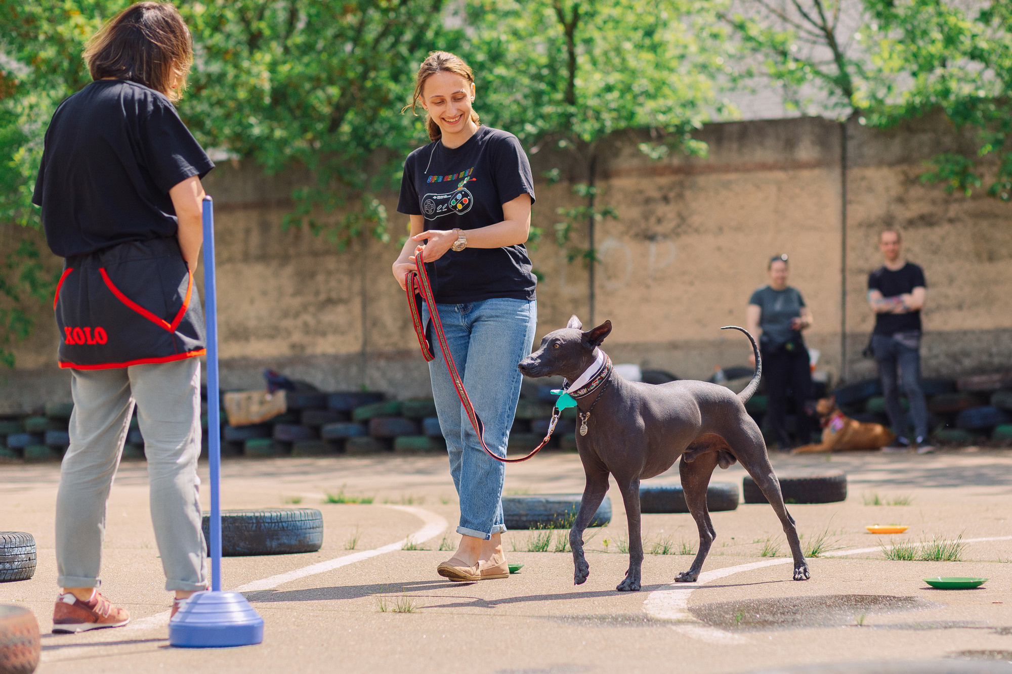 Дог-туса. Фотограф-анималист Елена Радченко, Москва